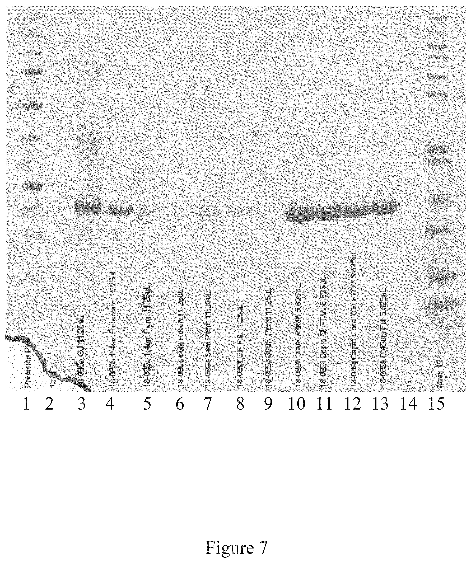 Patent US12097256 Figure 7 – Virus and antigen purification and conjugation