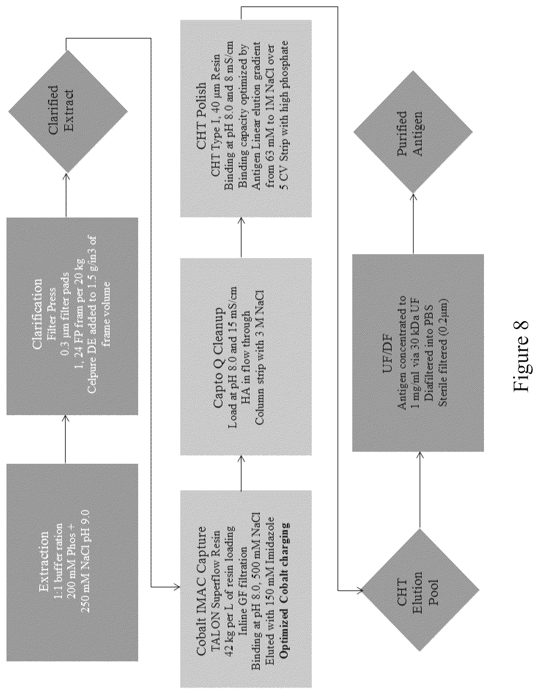 Patent US12097256 Figure 8 – Virus and antigen purification and conjugation