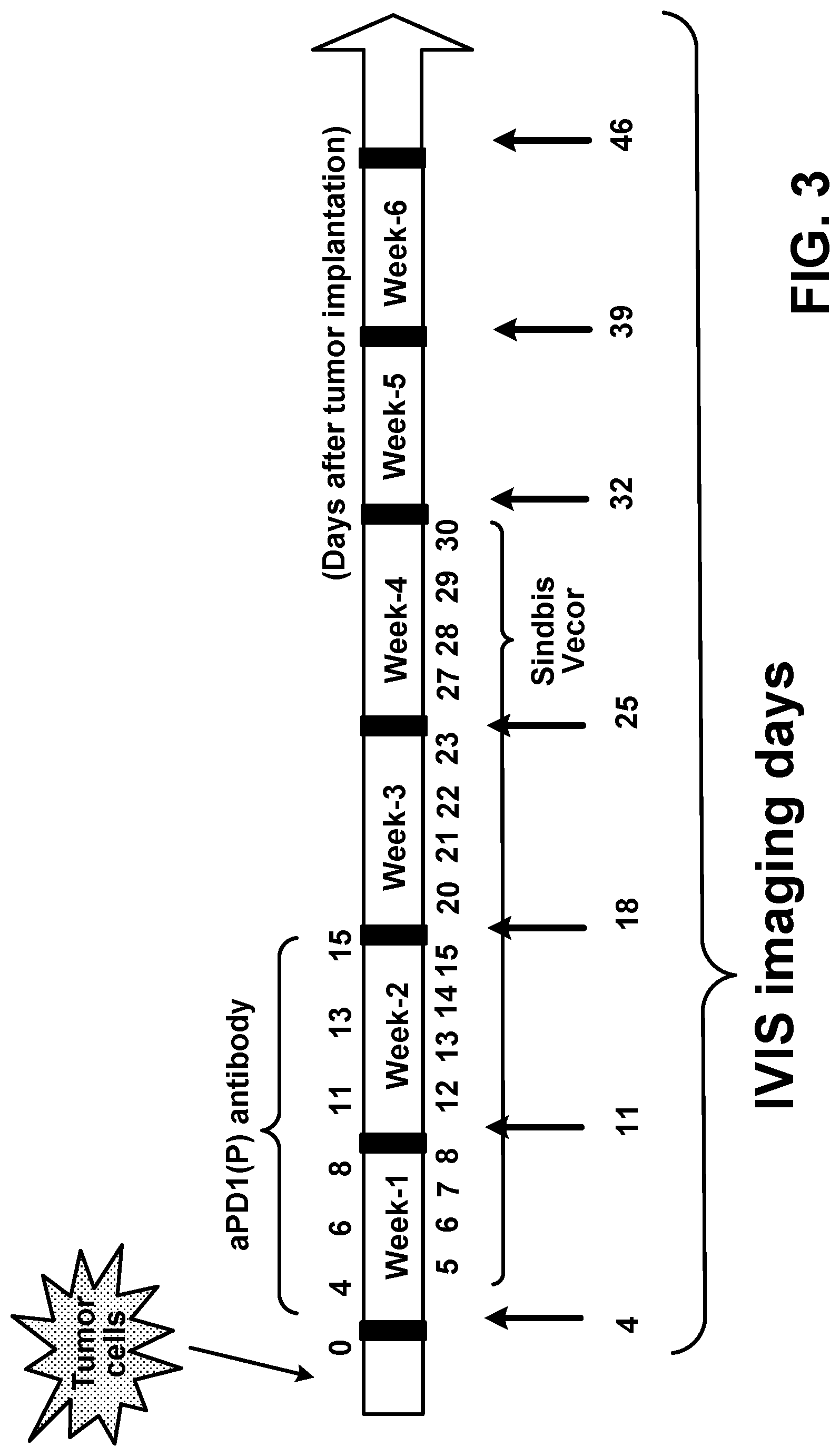 Patent US12097257 Figure 4 – Induction and enhancement of antitumor immunity involving Sindbis virus vectors expressing immune checkpoint proteins