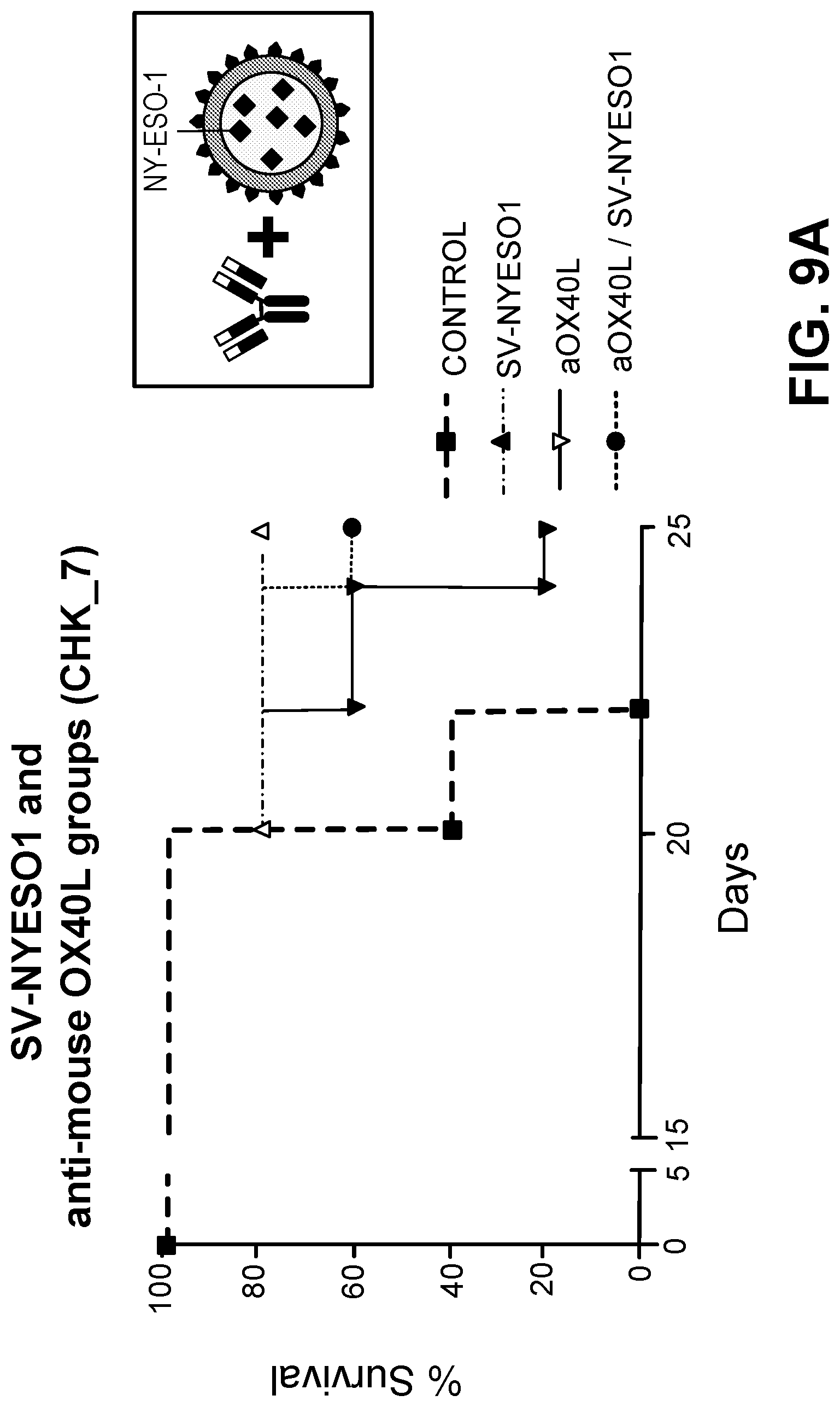 Patent US12097257 Figure 10 – Induction and enhancement of antitumor immunity involving Sindbis virus vectors expressing immune checkpoint proteins