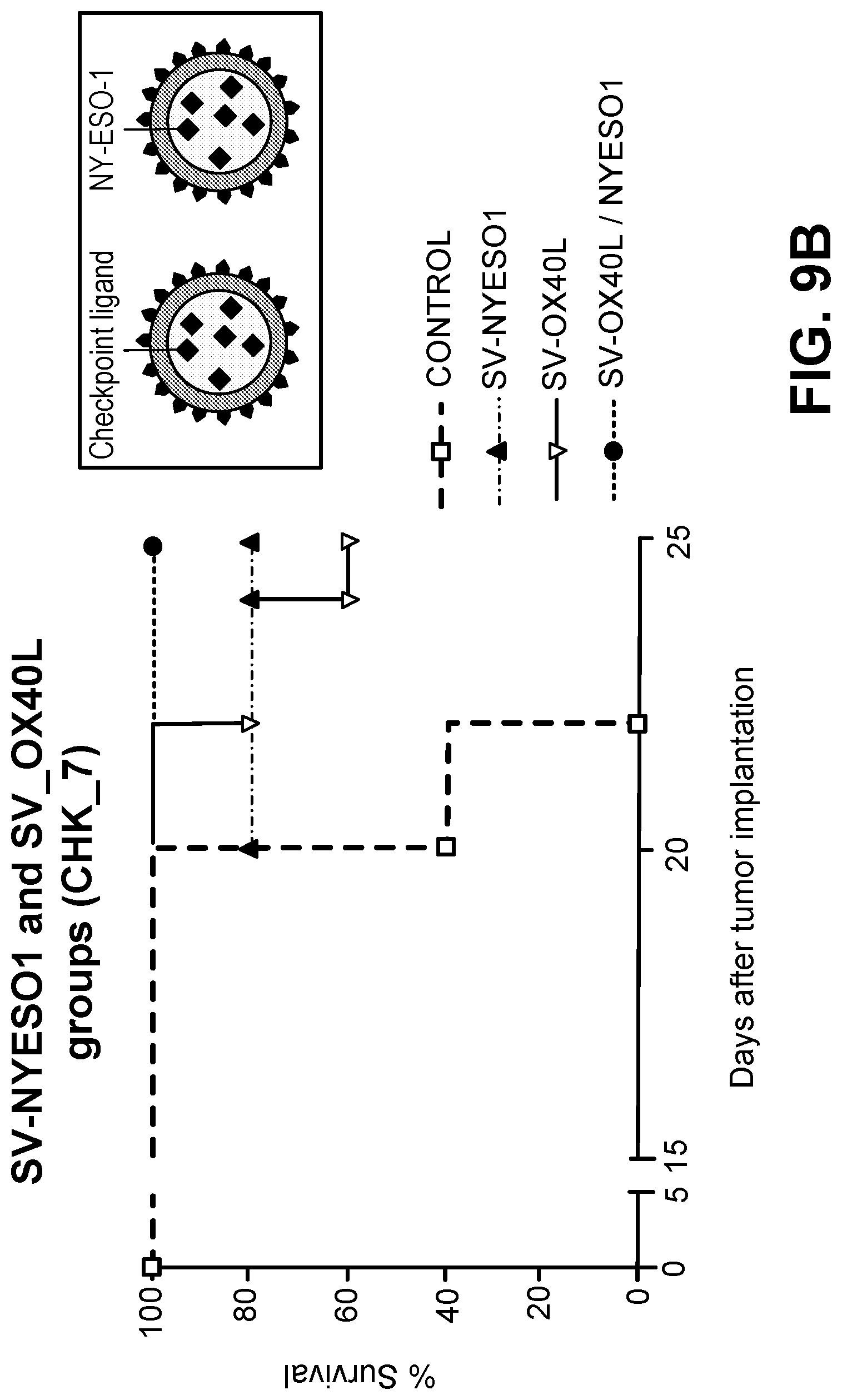 Patent US12097257 Figure 11 – Induction and enhancement of antitumor immunity involving Sindbis virus vectors expressing immune checkpoint proteins
