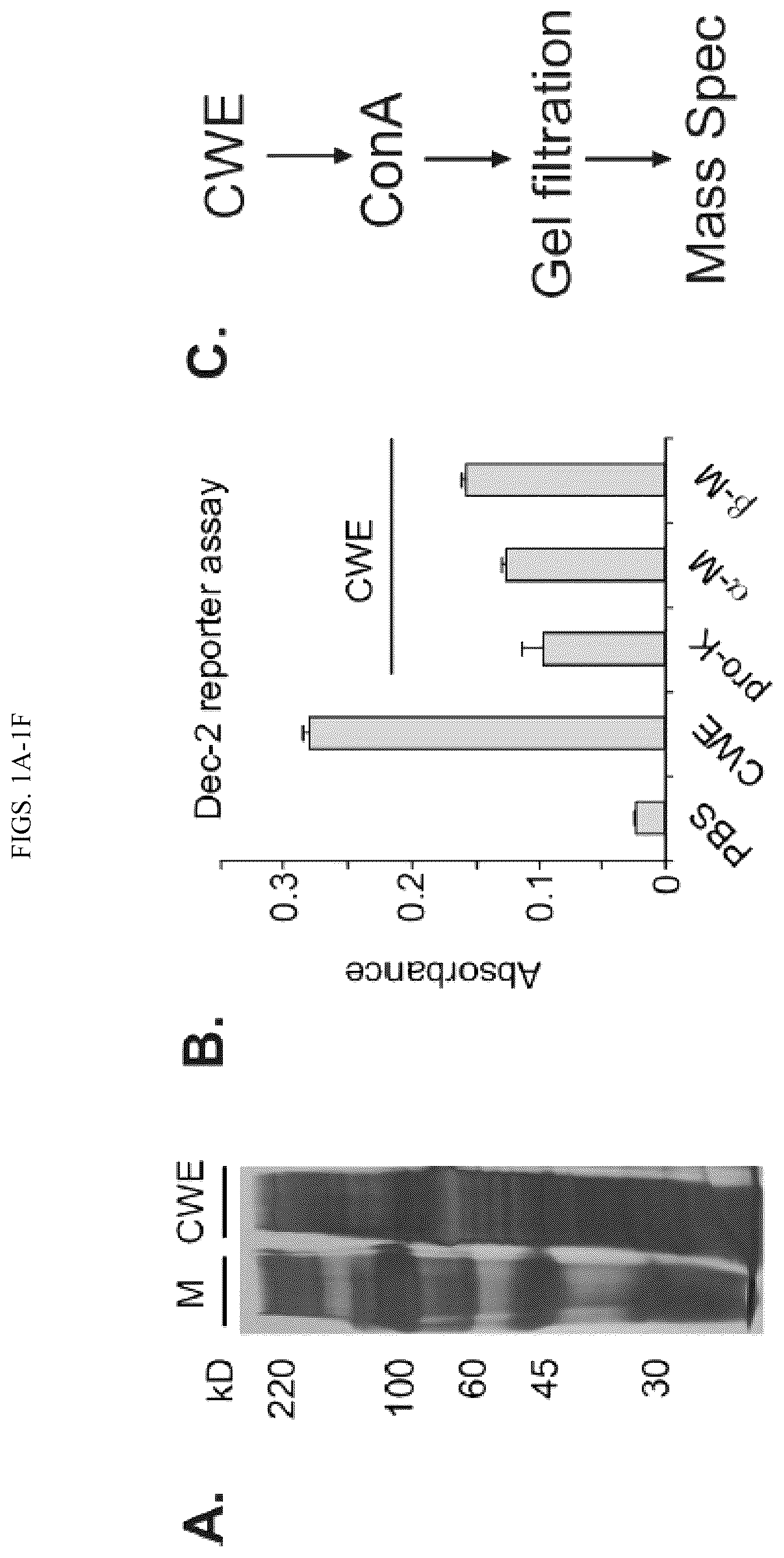 Patent US12097258 Figure 1 – Vaccine adjuvant