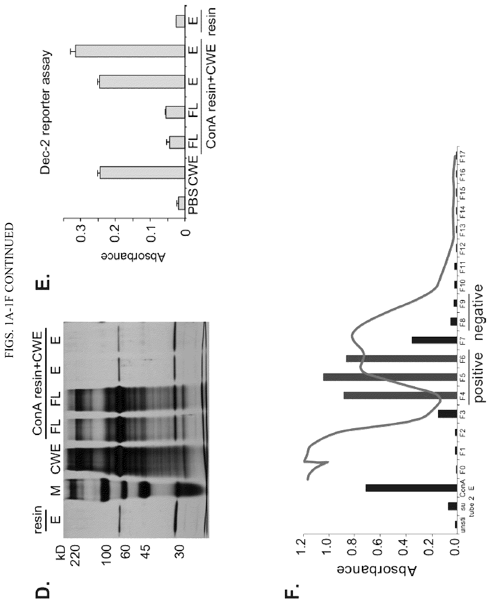 Patent US12097258 Figure 2 – Vaccine adjuvant