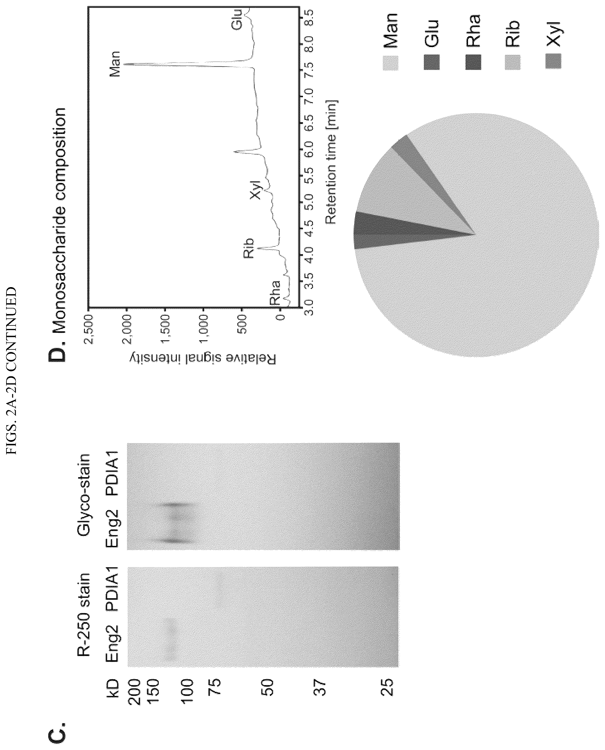 Patent US12097258 Figure 4 – Vaccine adjuvant