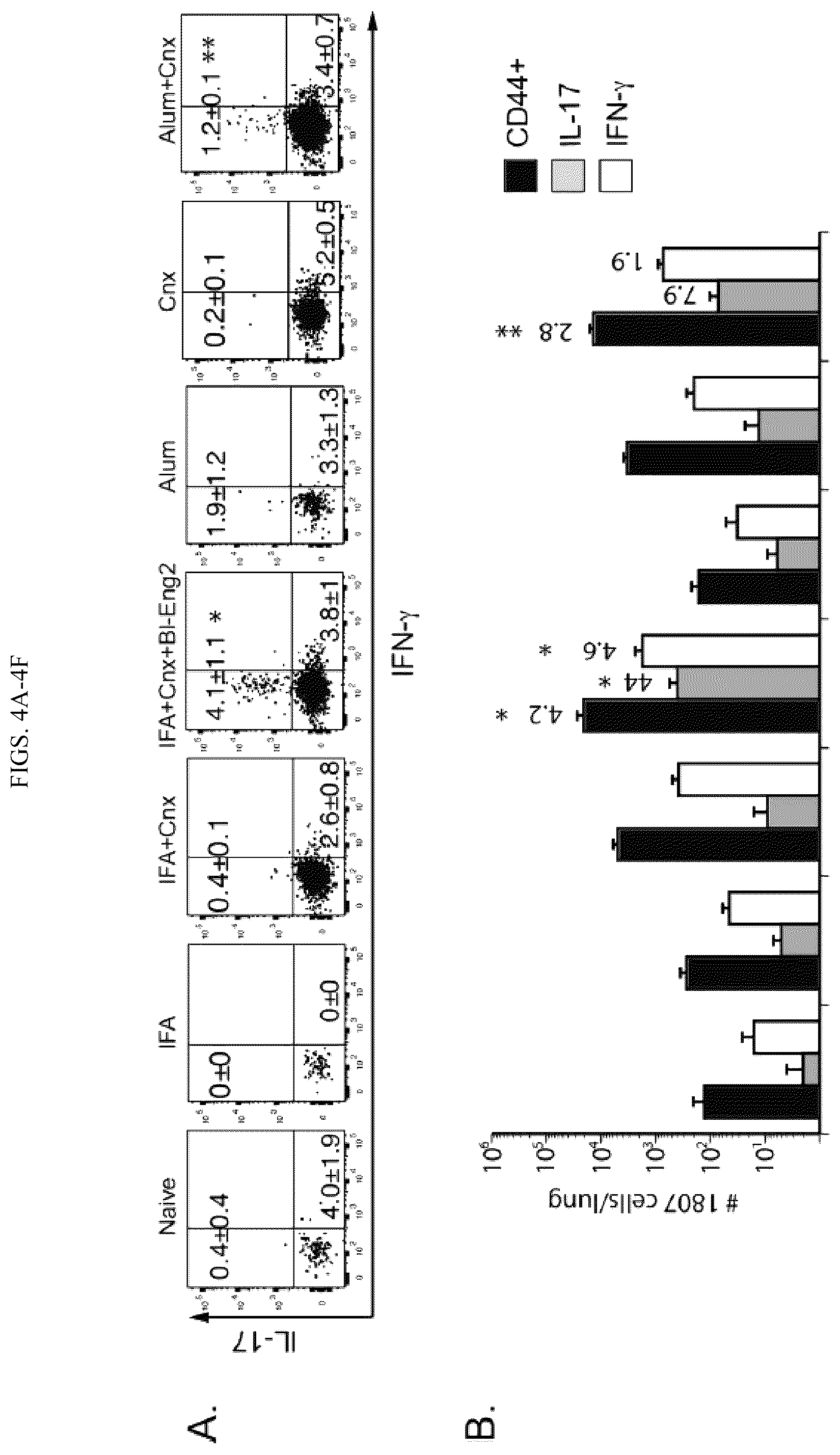 Patent US12097258 Figure 6 – Vaccine adjuvant