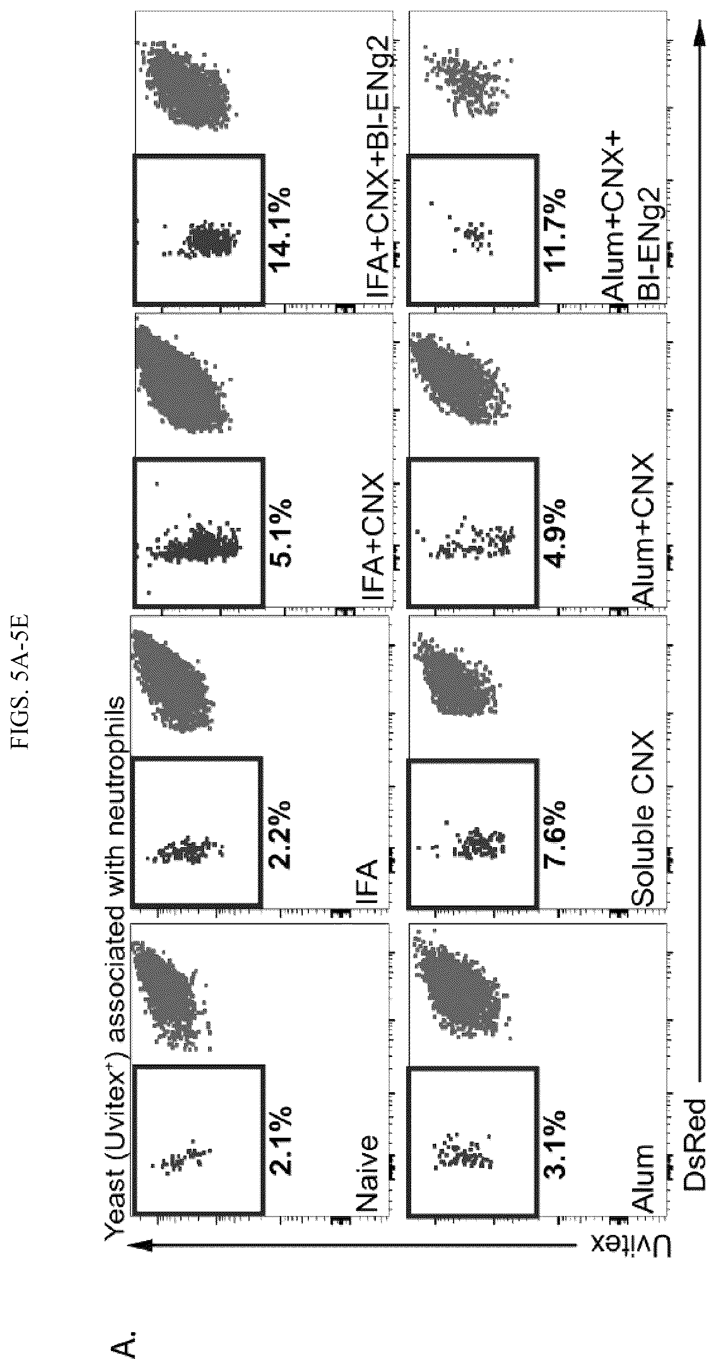 Patent US12097258 Figure 9 – Vaccine adjuvant