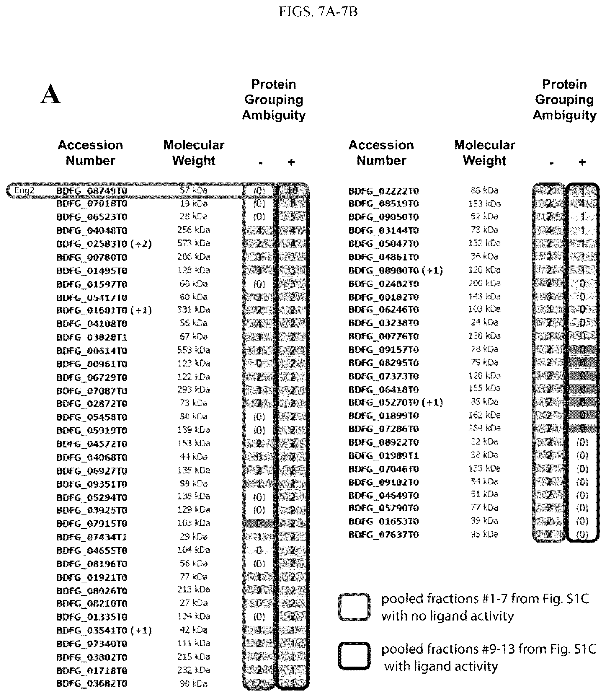 Patent US12097258 Figure 12 – Vaccine adjuvant