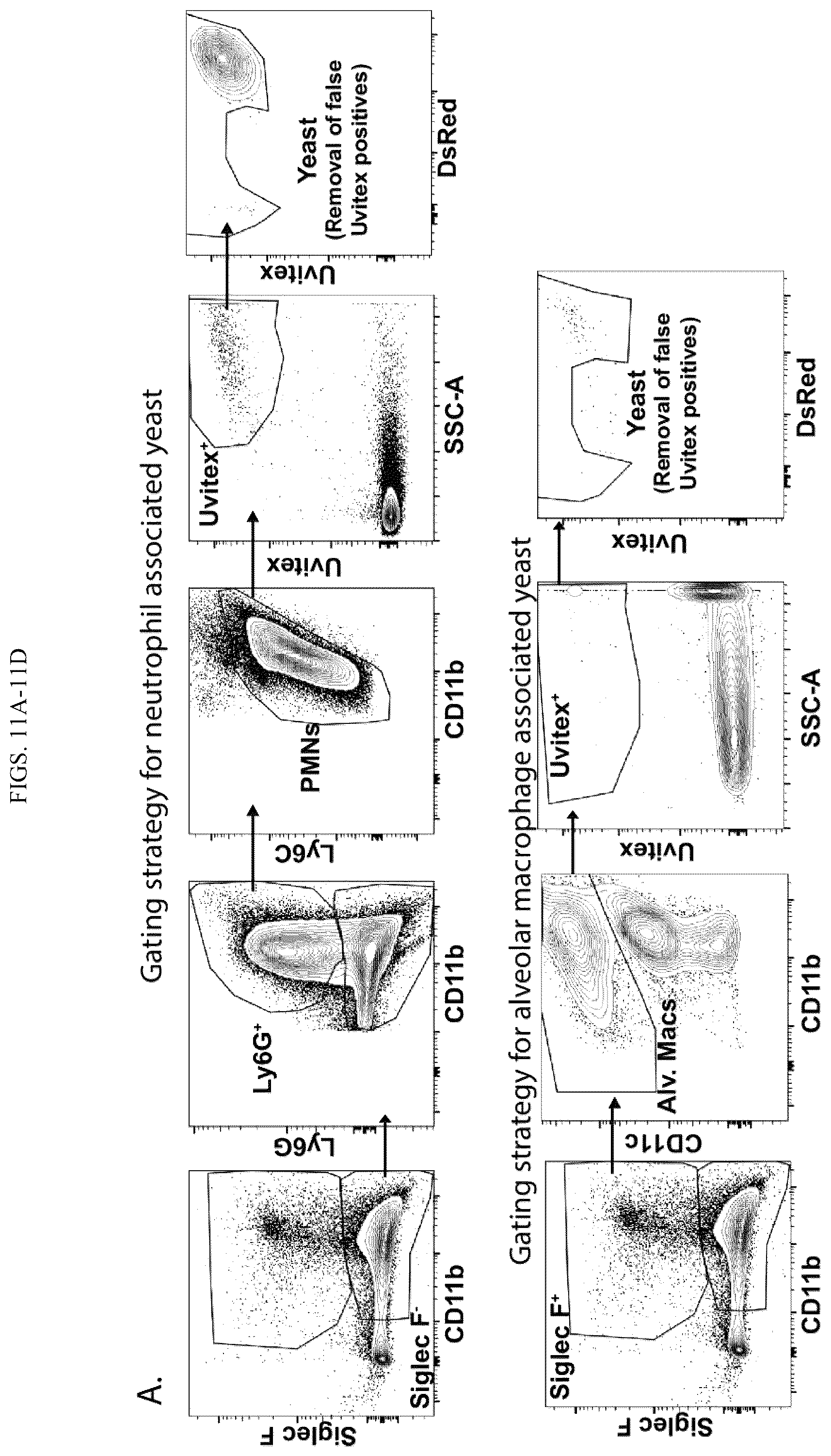 Patent US12097258 Figure 18 – Vaccine adjuvant