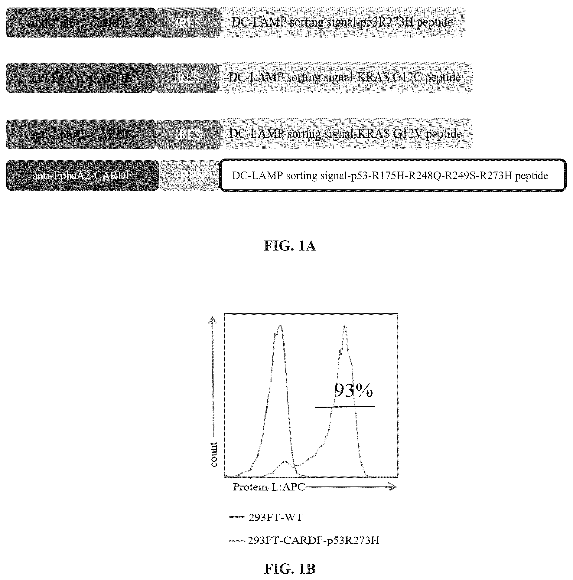 Patent US12097259 Figure 1 – Dendritic cell tumor vaccine and uses thereof