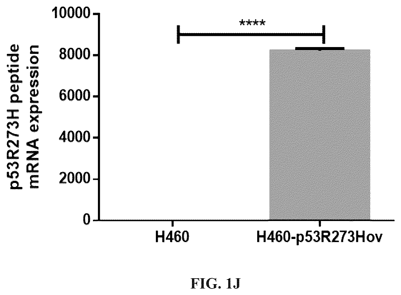 Patent US12097259 Figure 4 – Dendritic cell tumor vaccine and uses thereof