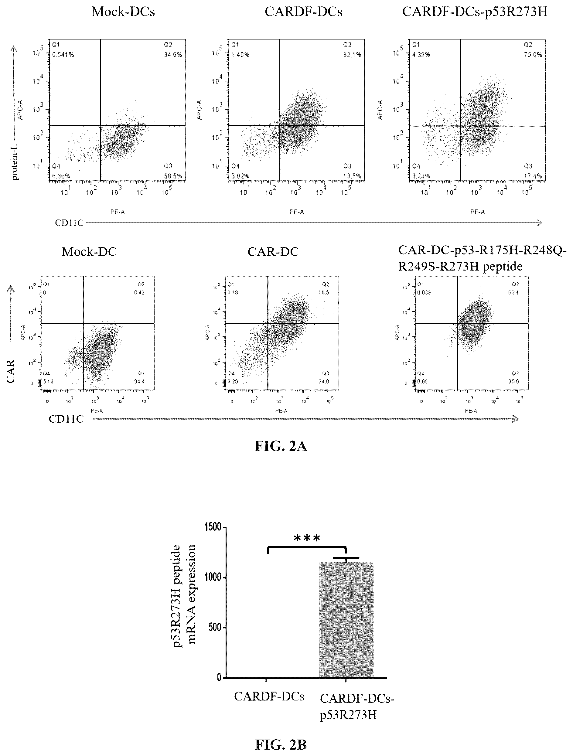 Patent US12097259 Figure 5 – Dendritic cell tumor vaccine and uses thereof
