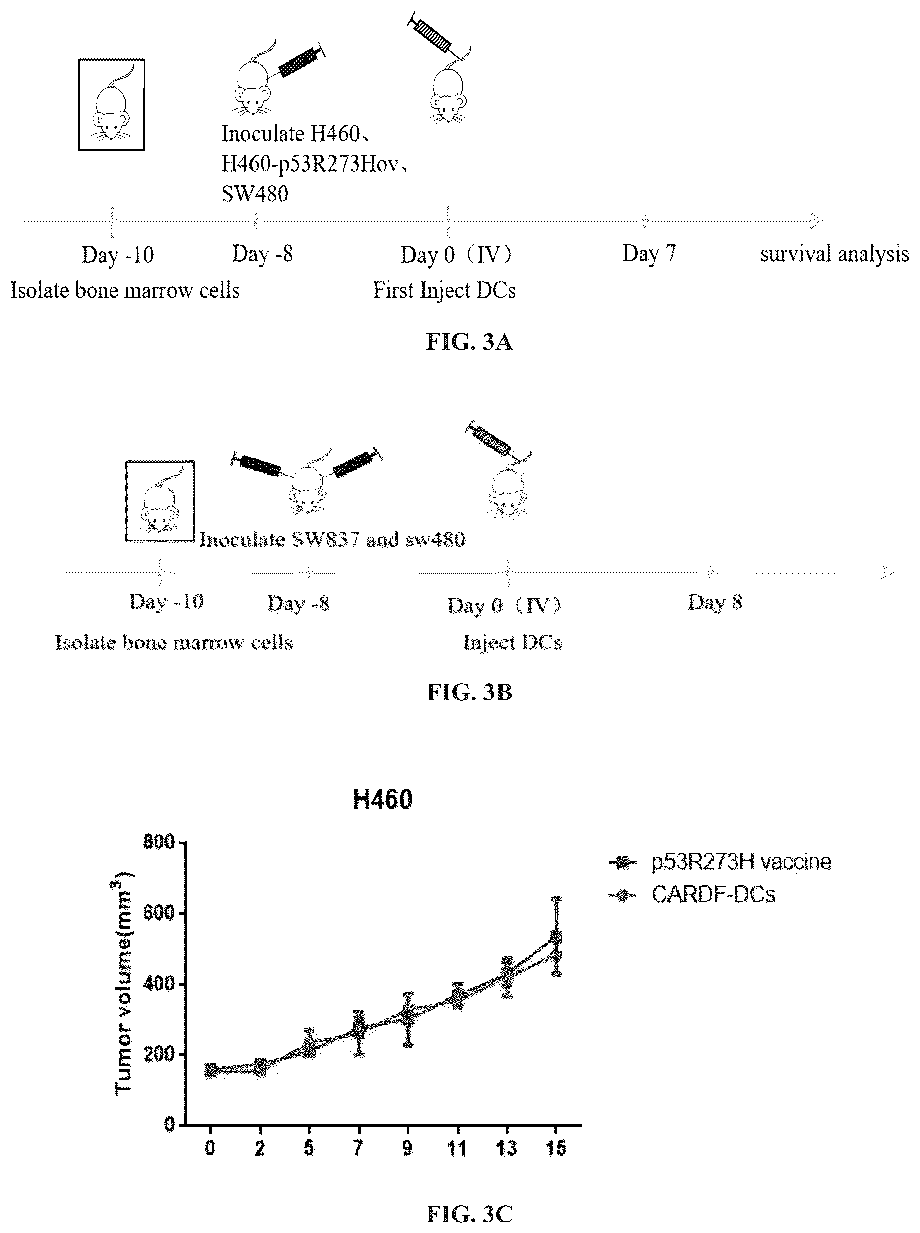 Patent US12097259 Figure 7 – Dendritic cell tumor vaccine and uses thereof