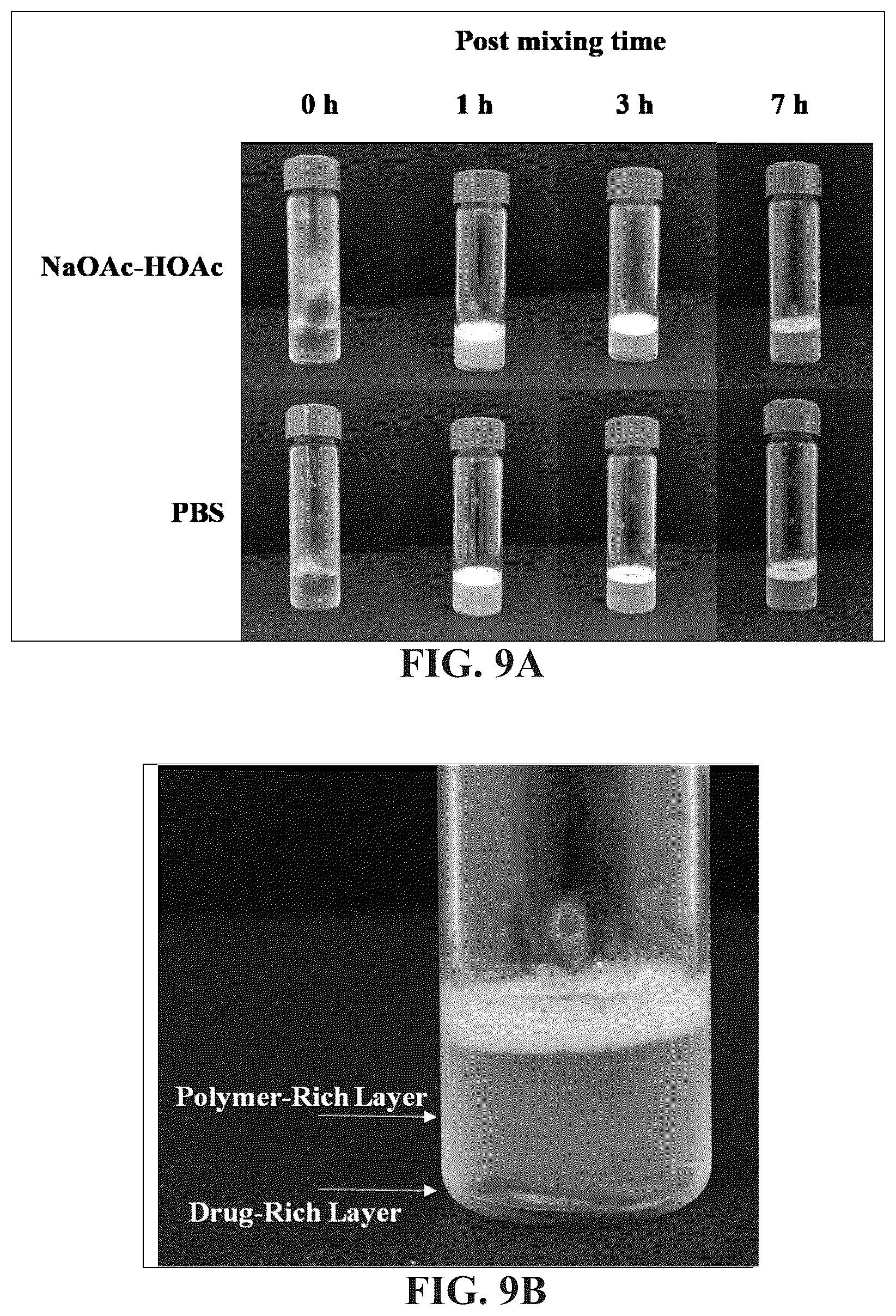 Patent US12097260 Figure 12 – Temperature-responsive degradable hydrogels