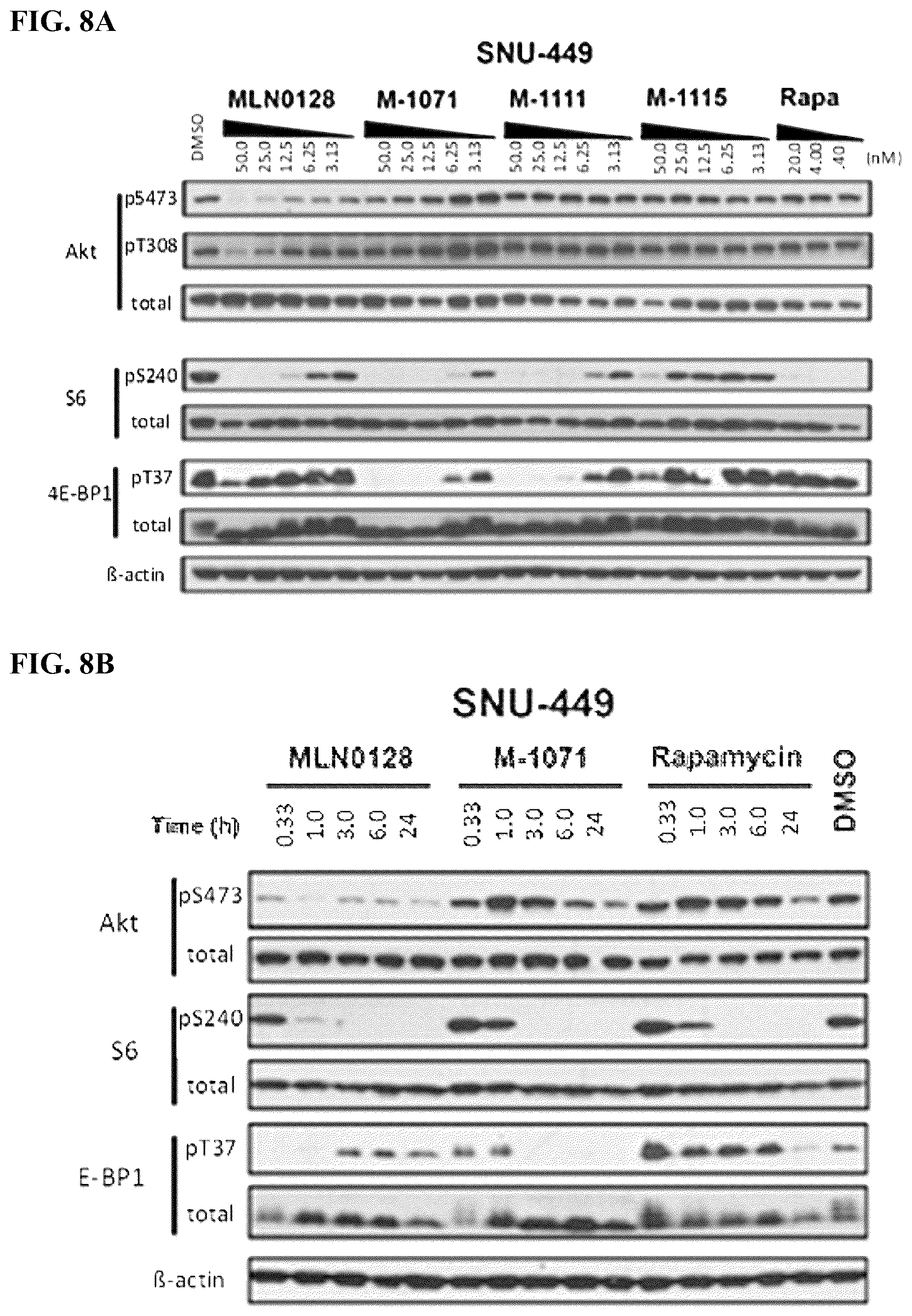 Patent US12097262 Figure 8 – mTORC1 inhibitors
