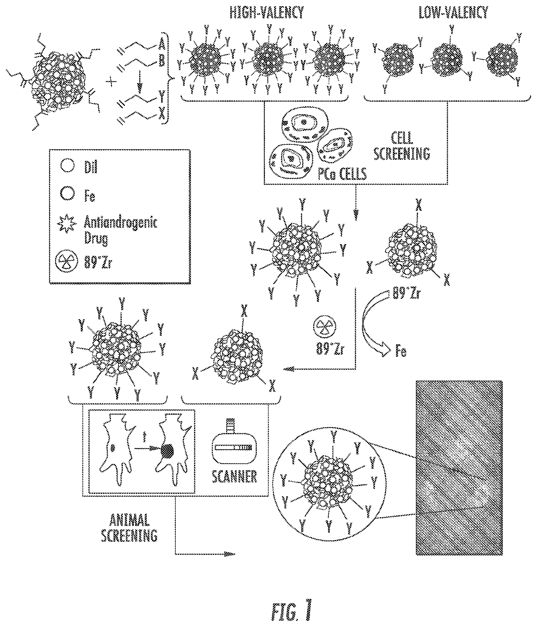 Patent US12097264 Figure 1 – Methods and compositions for theranostic nanoparticles