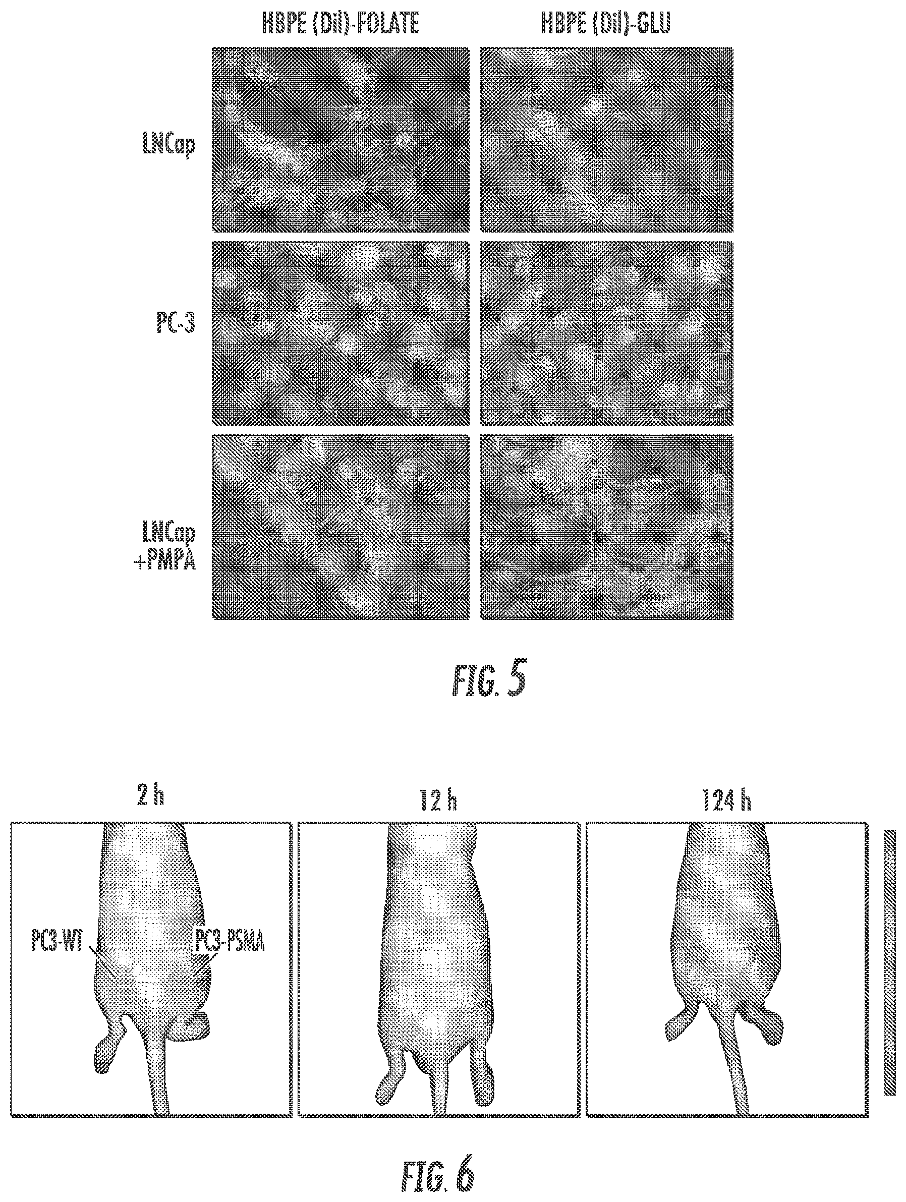 Patent US12097264 Figure 5 – Methods and compositions for theranostic nanoparticles