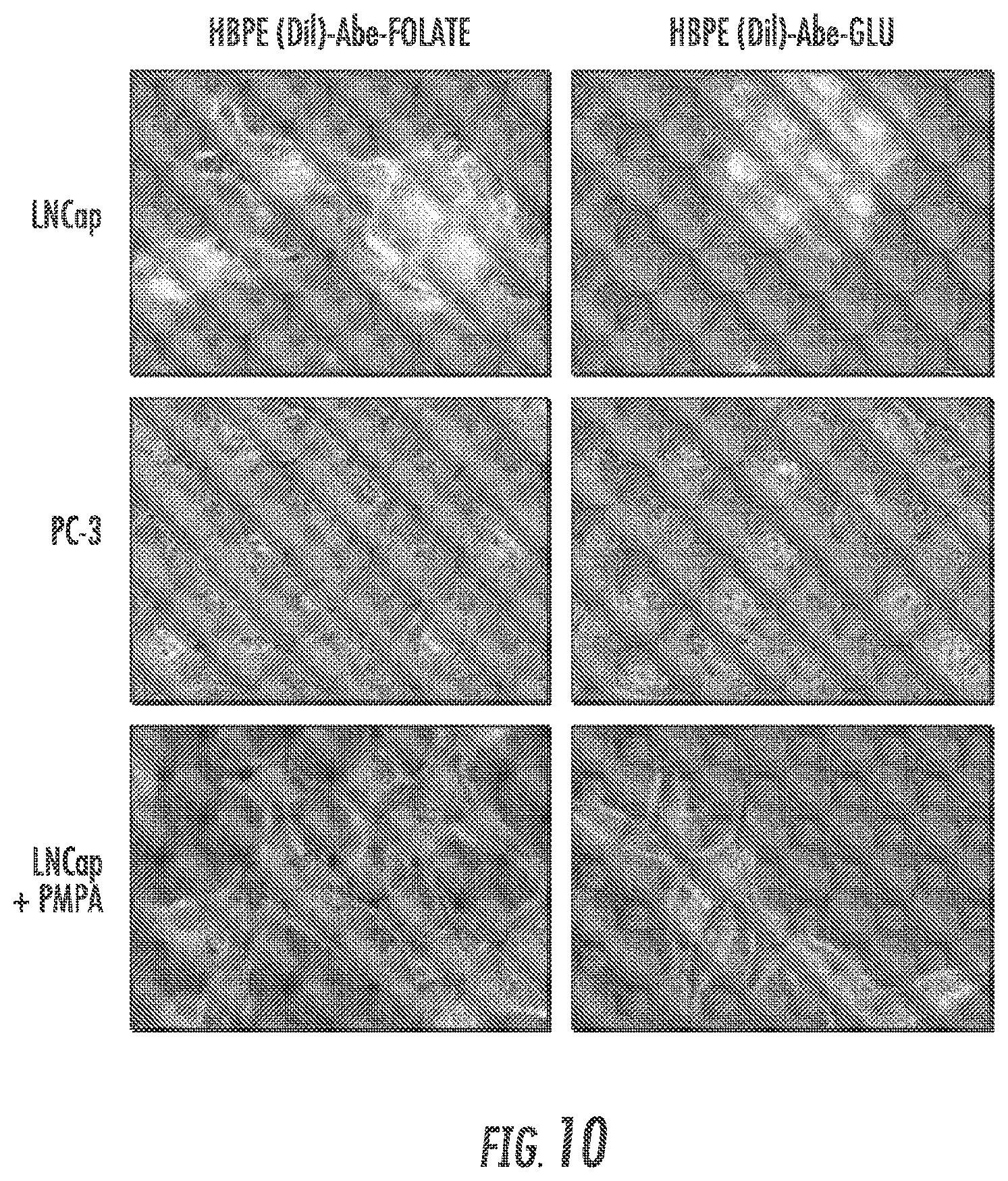 Patent US12097264 Figure 9 – Methods and compositions for theranostic nanoparticles