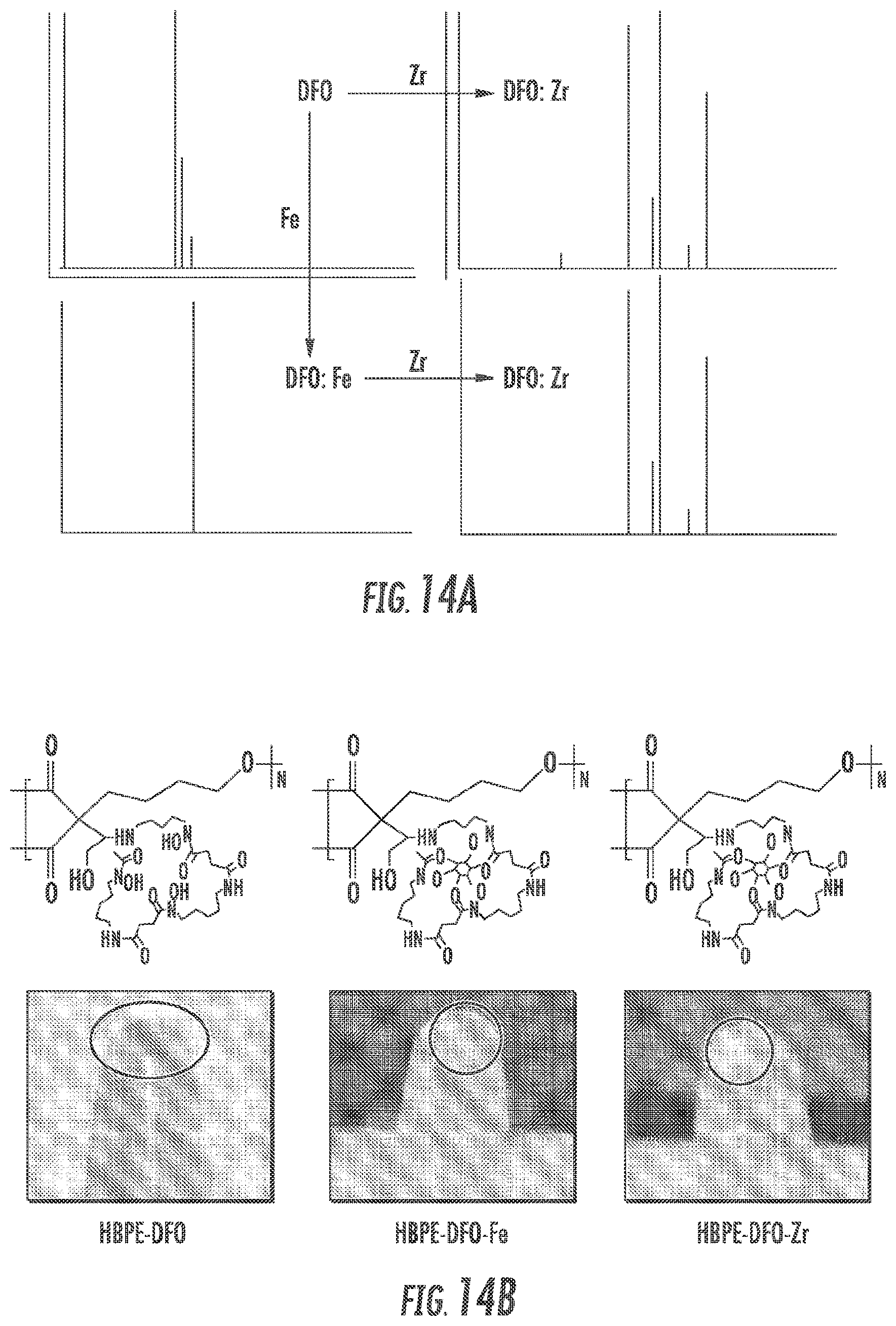 Patent US12097264 Figure 13 – Methods and compositions for theranostic nanoparticles