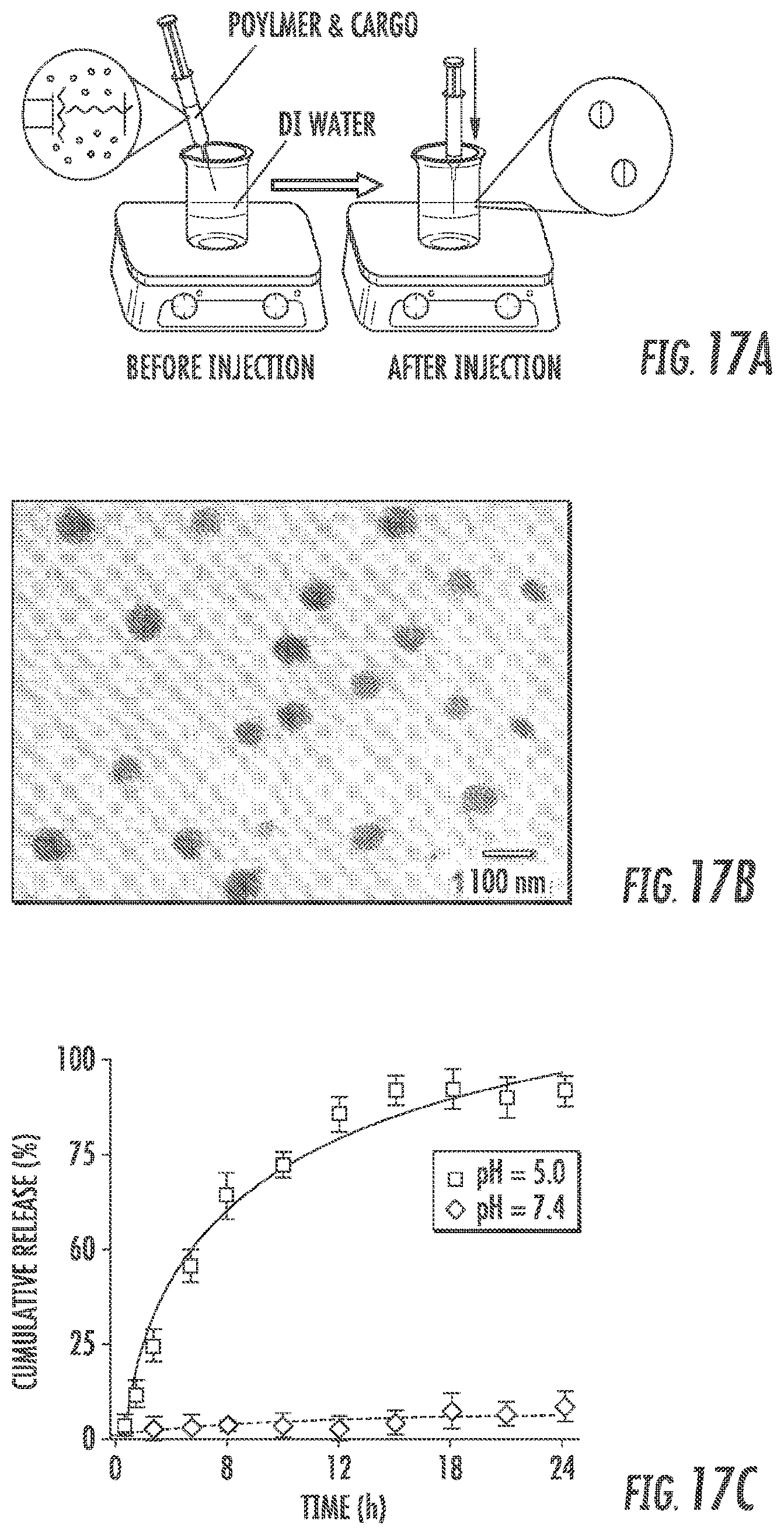 Patent US12097264 Figure 16 – Methods and compositions for theranostic nanoparticles