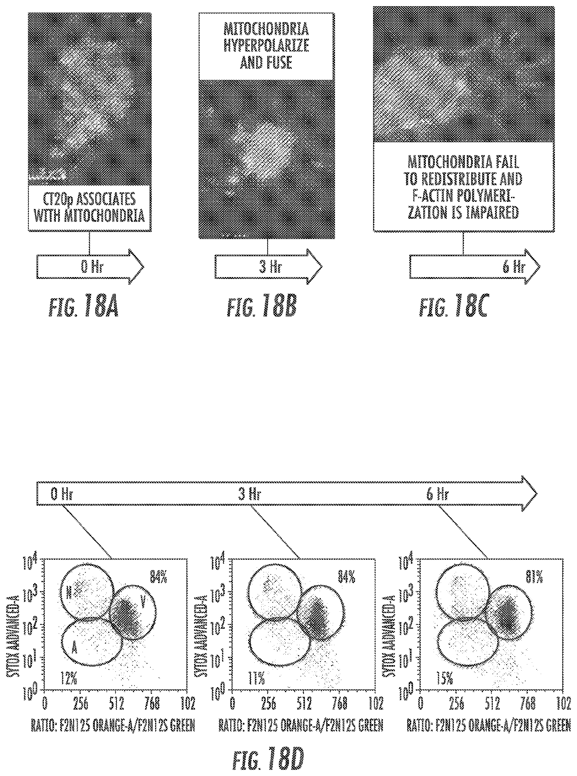 Patent US12097264 Figure 17 – Methods and compositions for theranostic nanoparticles