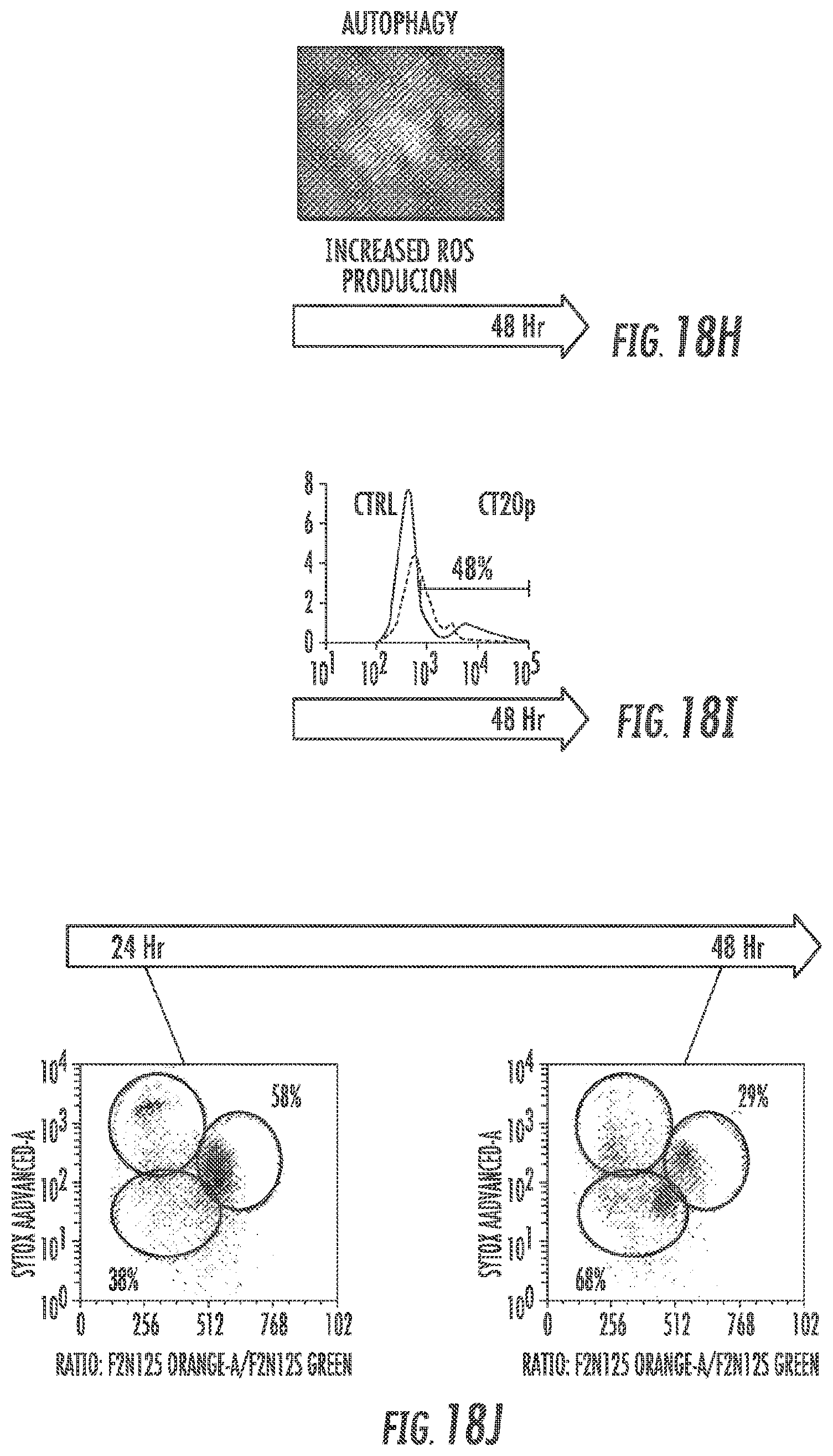 Patent US12097264 Figure 19 – Methods and compositions for theranostic nanoparticles