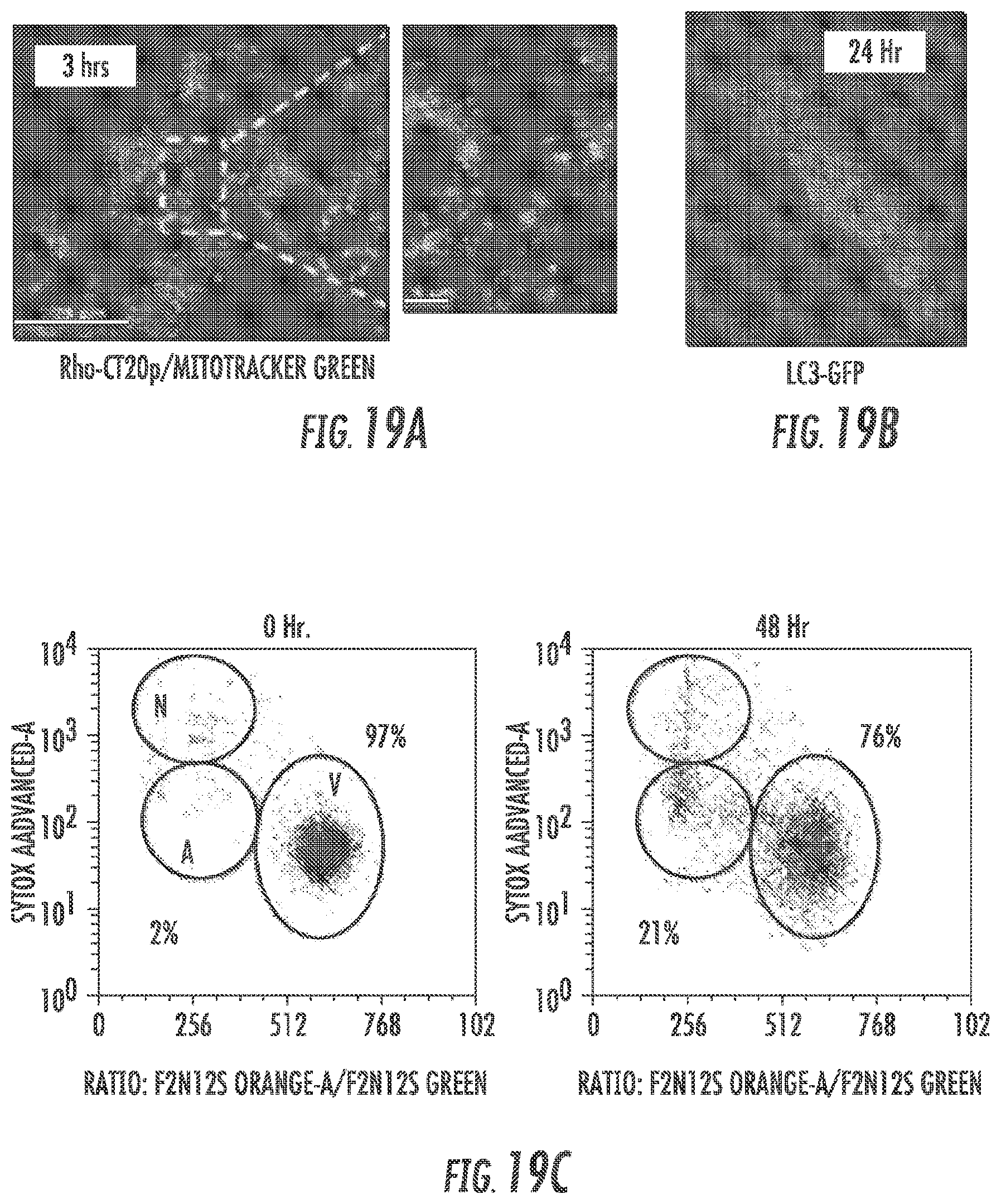 Patent US12097264 Figure 20 – Methods and compositions for theranostic nanoparticles