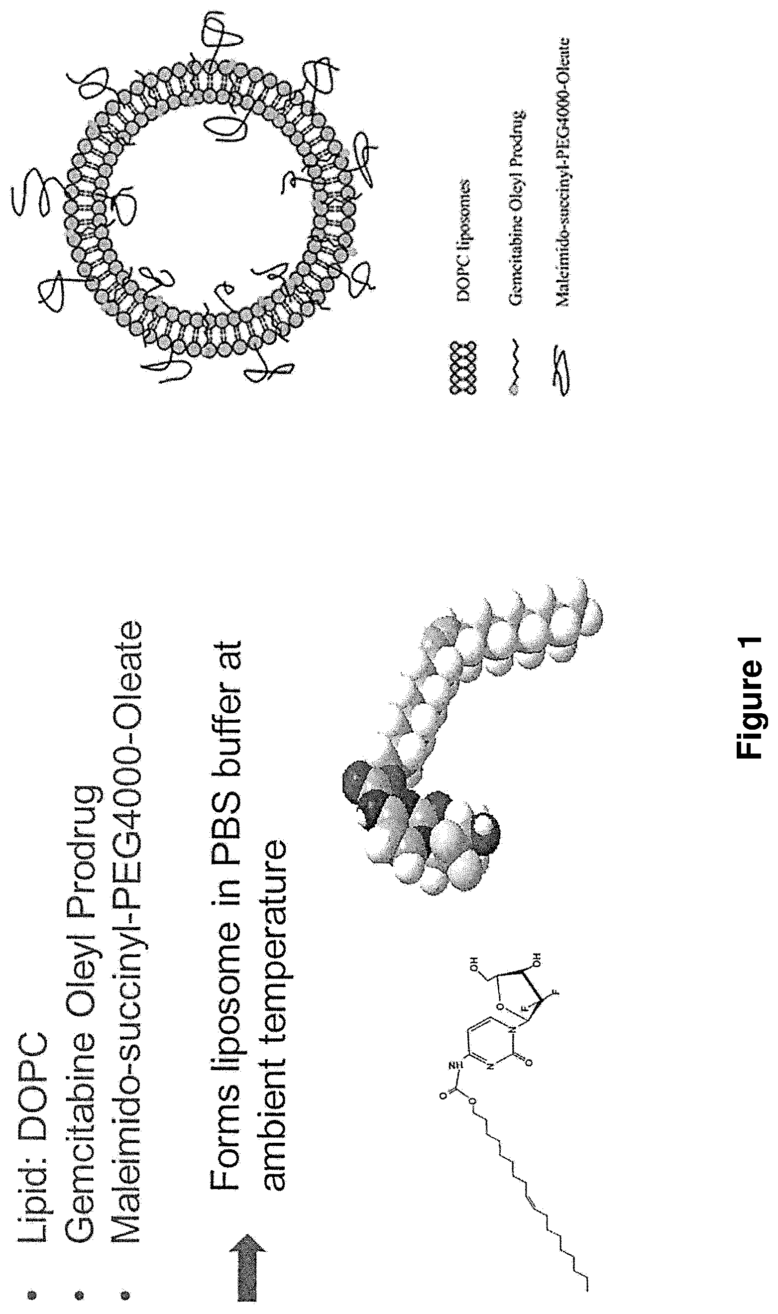 Patent US12097265 Figure 1 – Cytotoxic particles for targeting P2X7 receptor