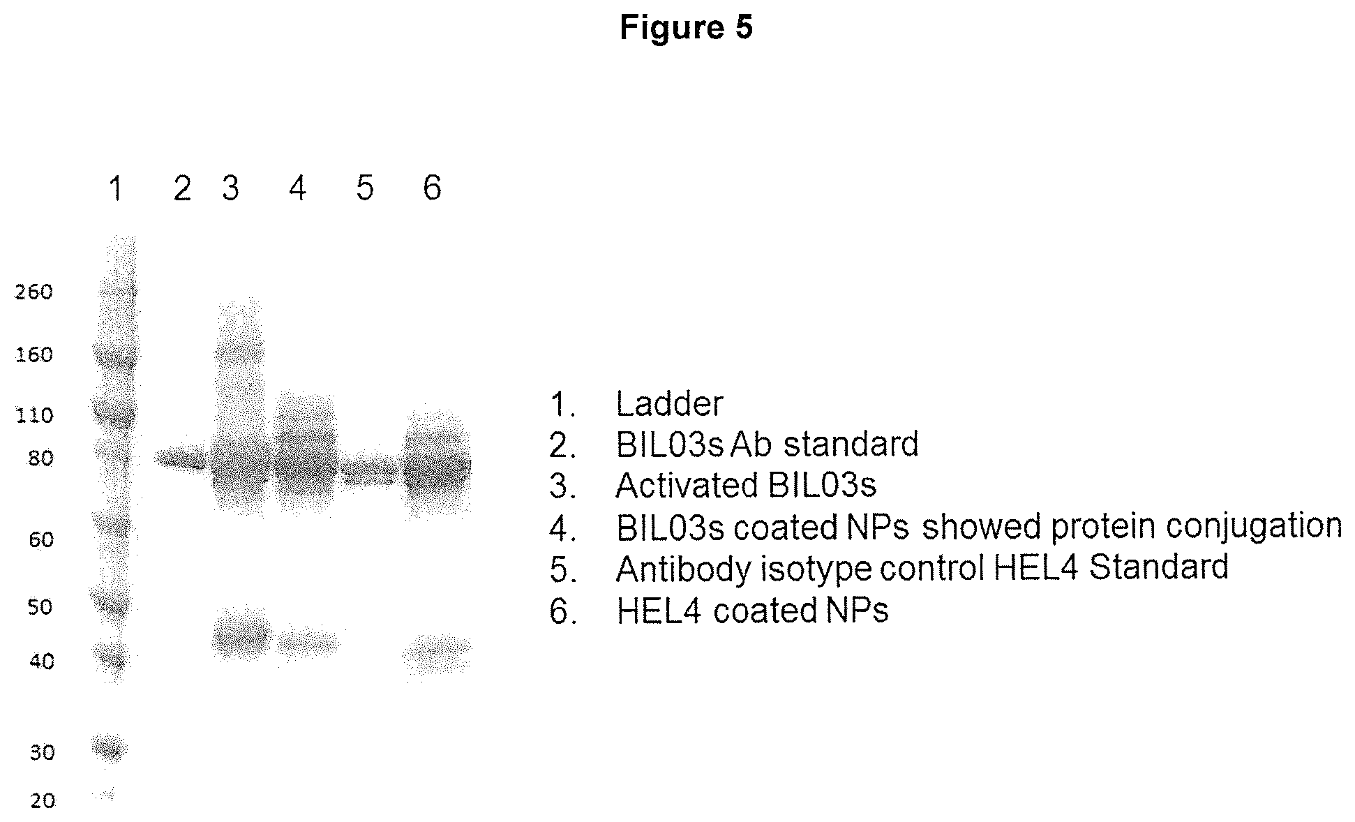 Patent US12097265 Figure 5 – Cytotoxic particles for targeting P2X7 receptor
