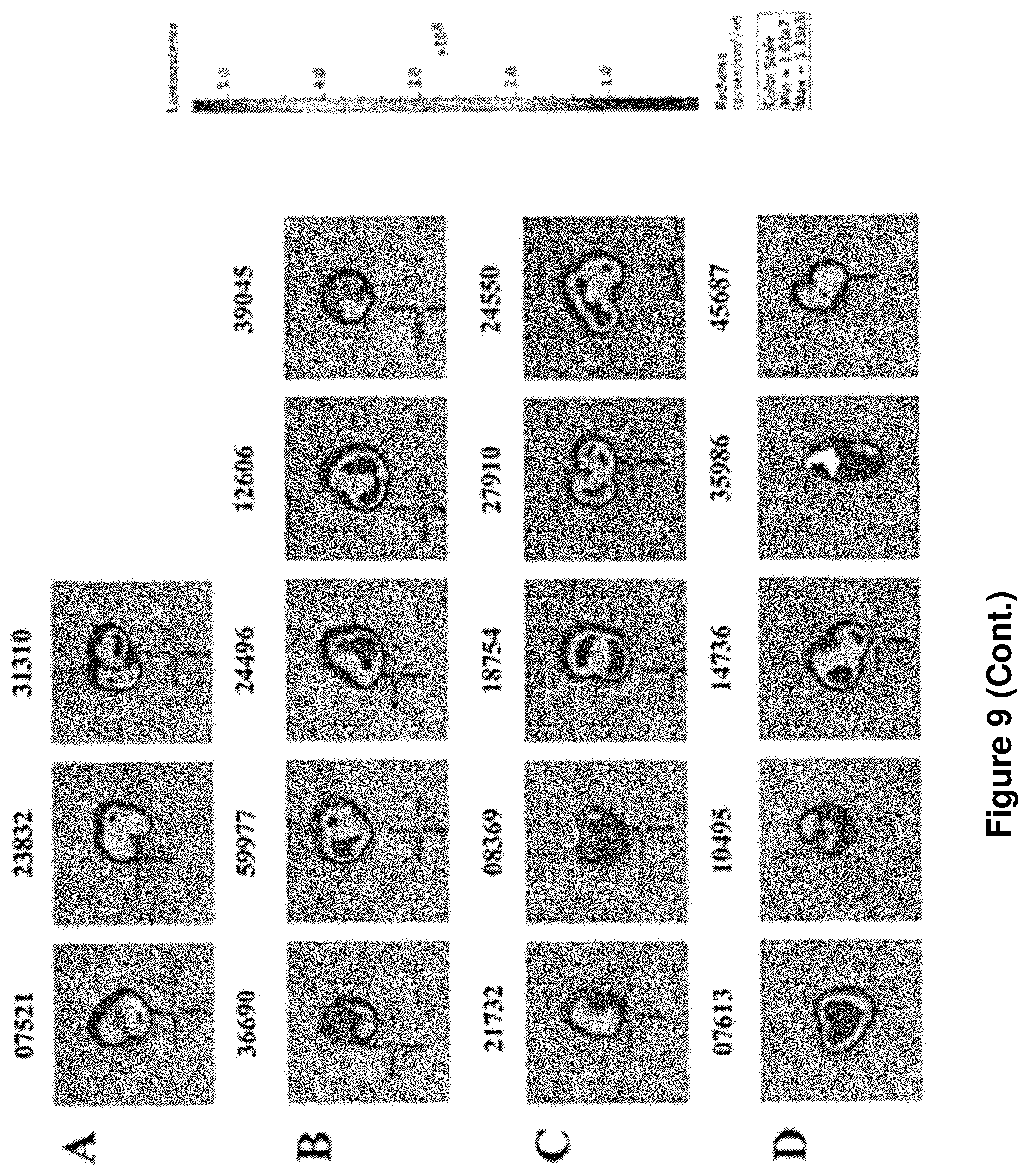 Patent US12097265 Figure 10 – Cytotoxic particles for targeting P2X7 receptor
