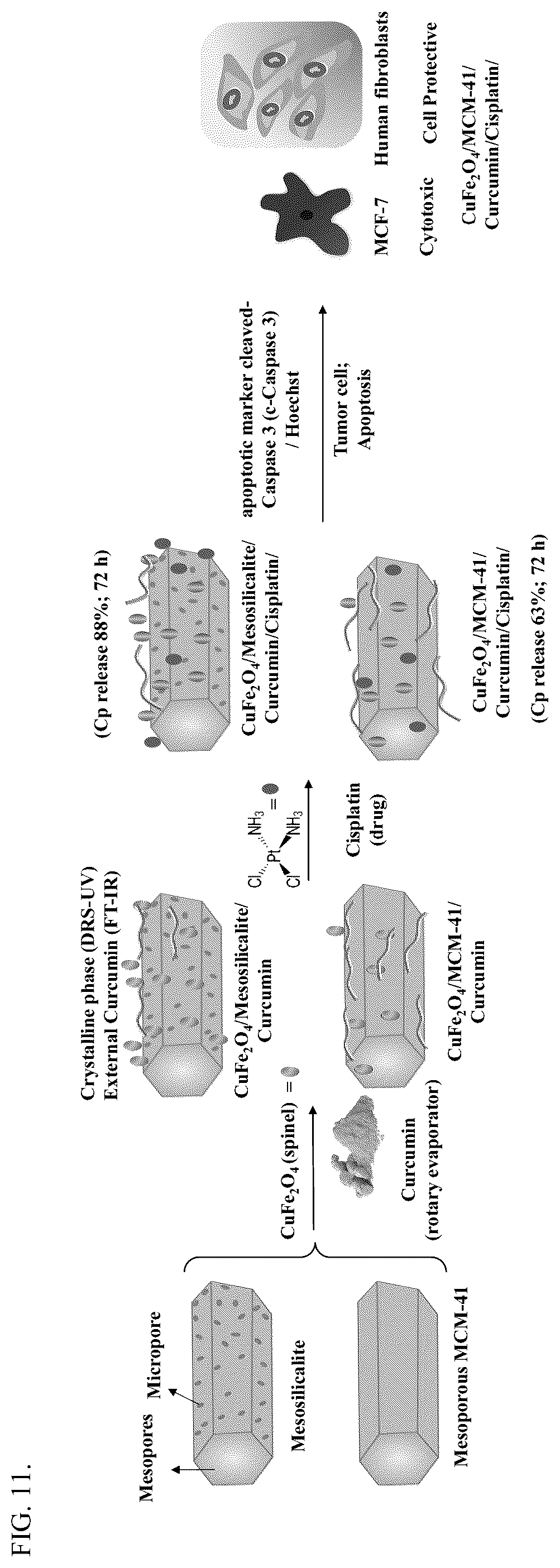 Patent US12097266 Figure 10 – Cancer treatment method for magnetic hypothermia cancer treatment