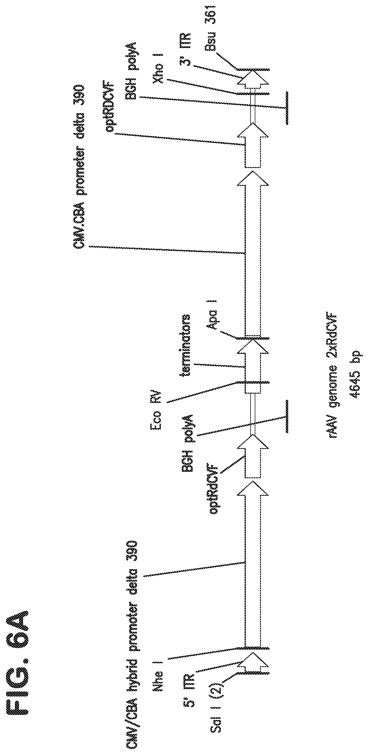 Patent US12097267 Figure 9 – Methods and compositions for treatment of ocular disorders and blinding diseases