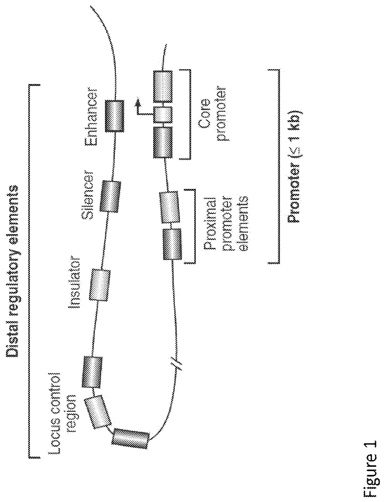 Patent US12097268 Figure 1 – Modulation of neural pathways