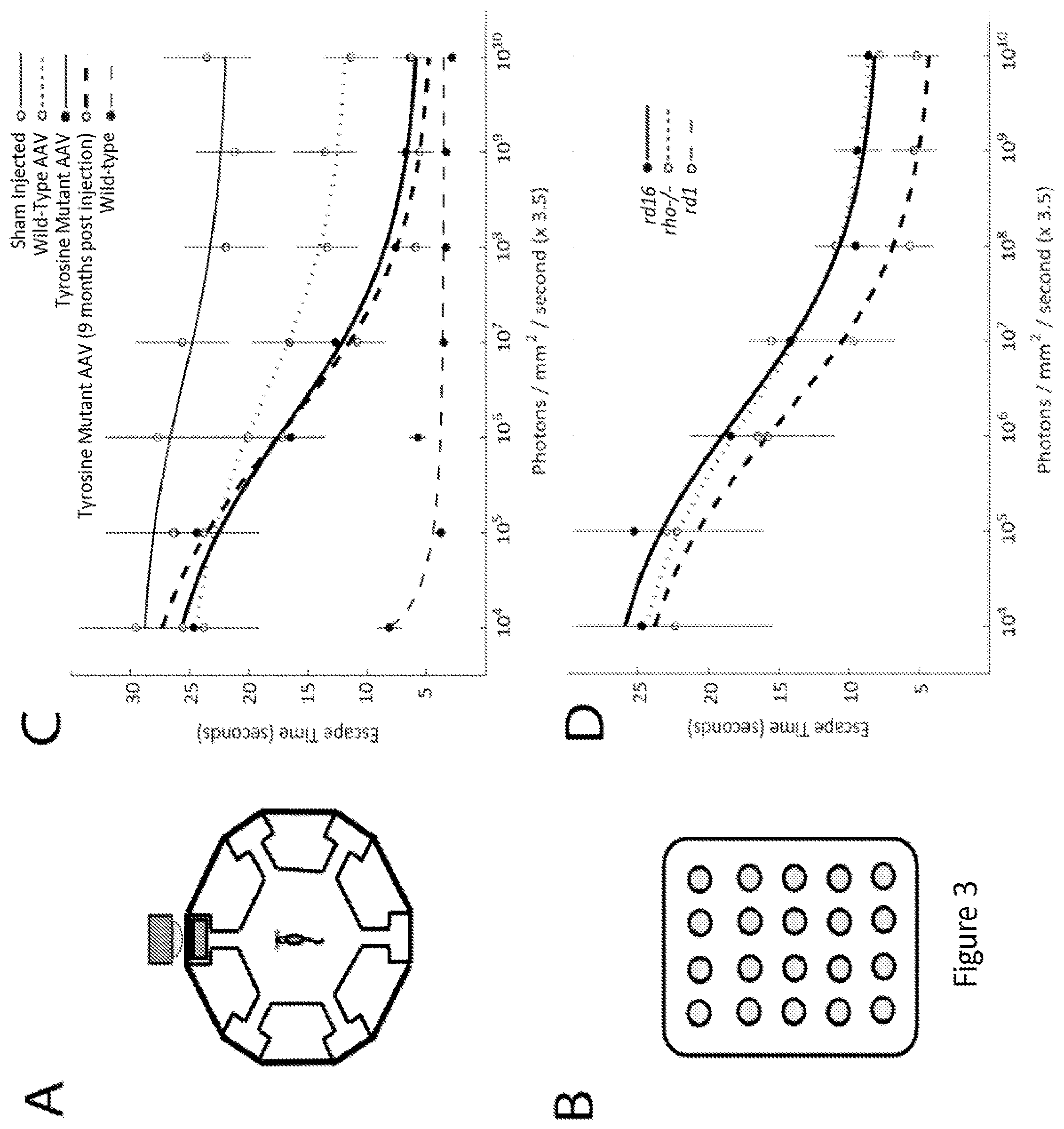 Patent US12097268 Figure 3 – Modulation of neural pathways