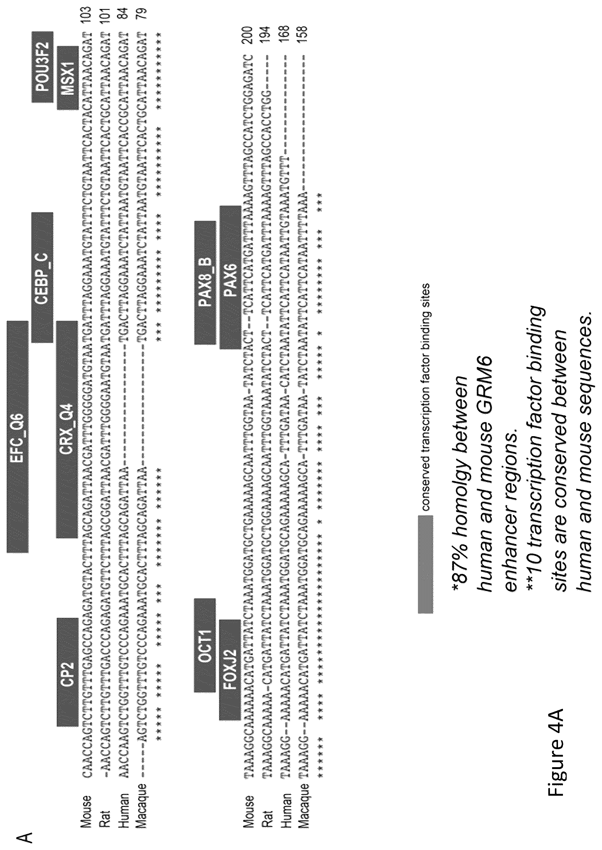 Patent US12097268 Figure 4 – Modulation of neural pathways