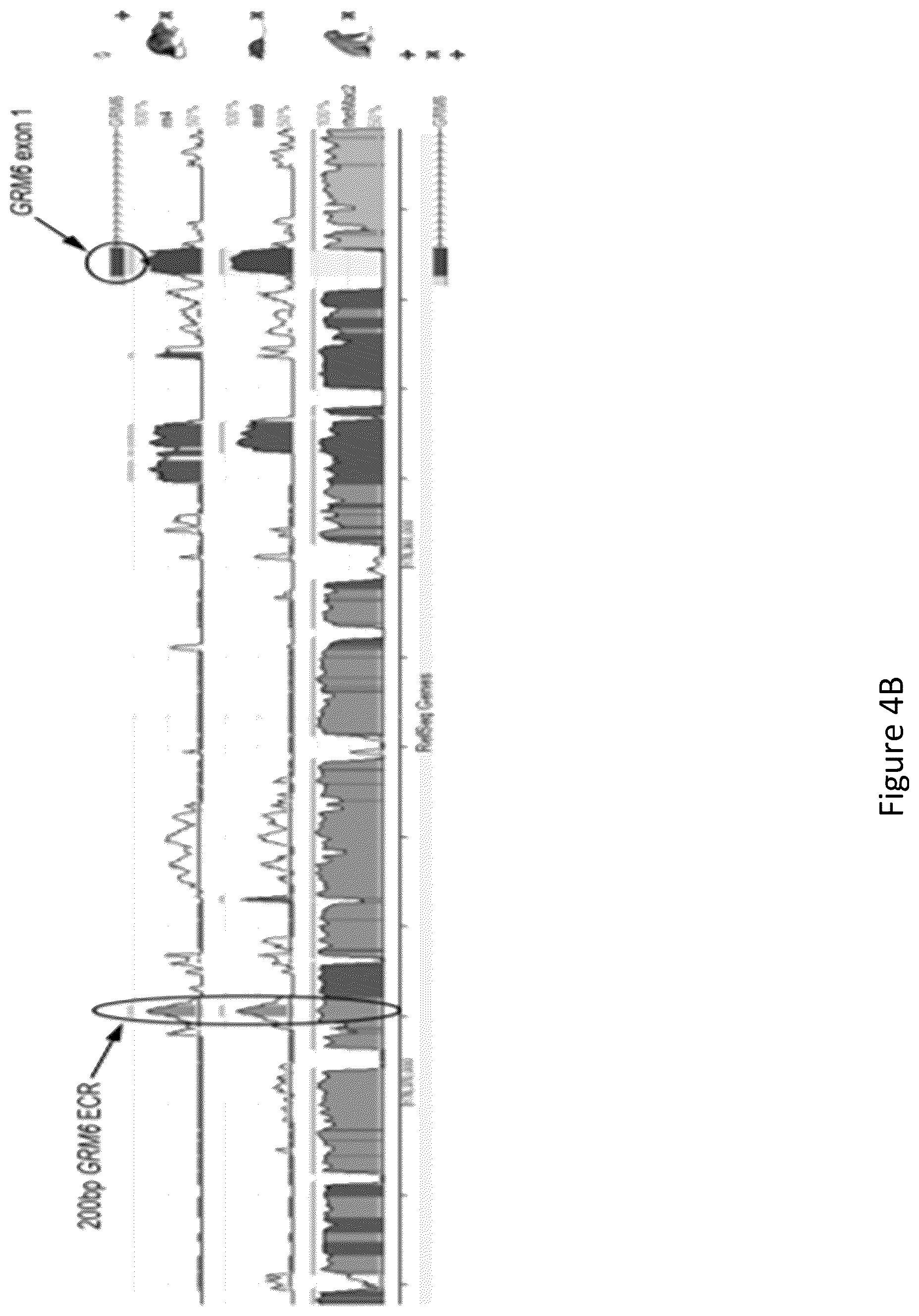 Patent US12097268 Figure 5 – Modulation of neural pathways
