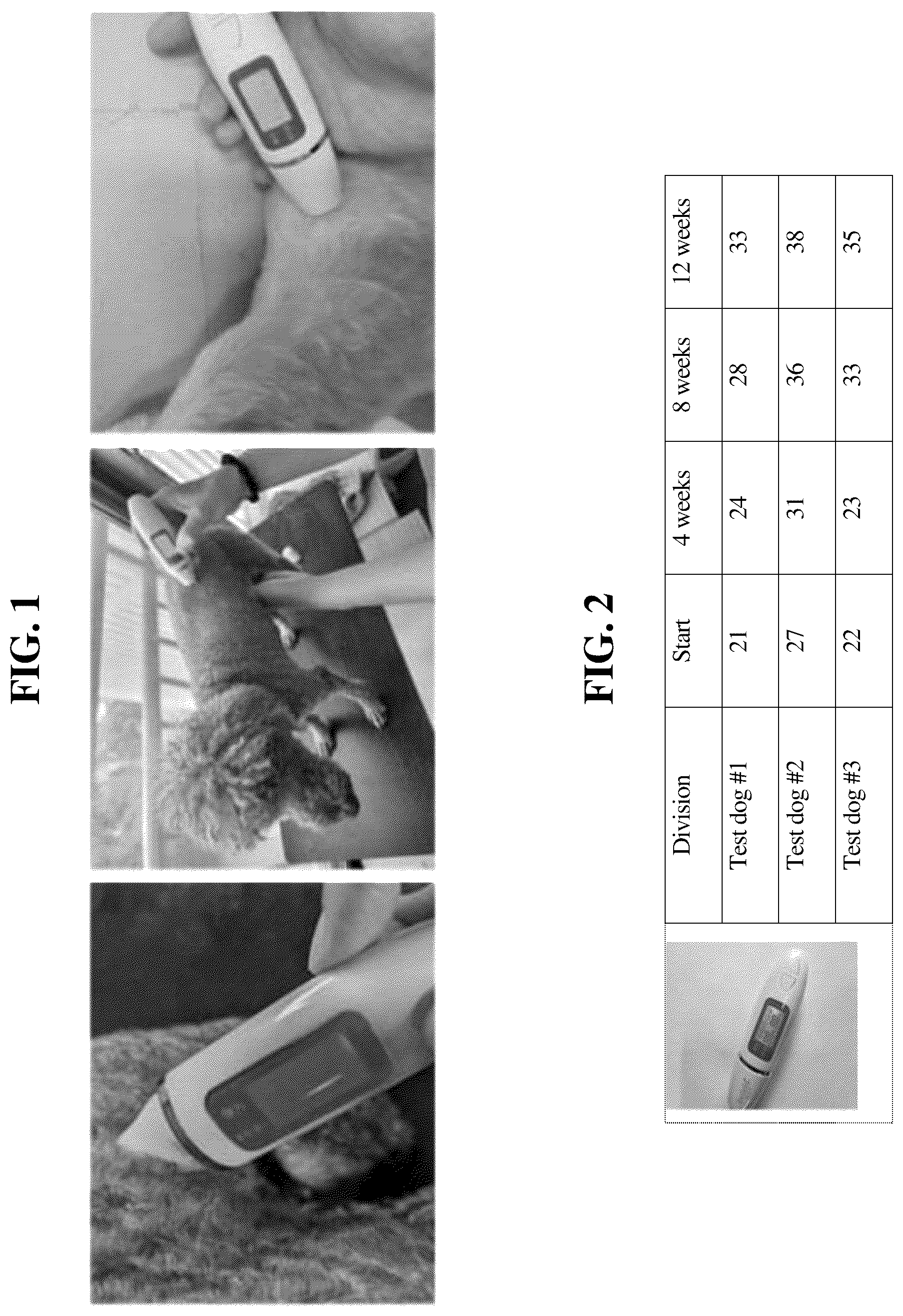 Patent US12097281 Figure 1 – Composition for improving skin moisturization of companion animals