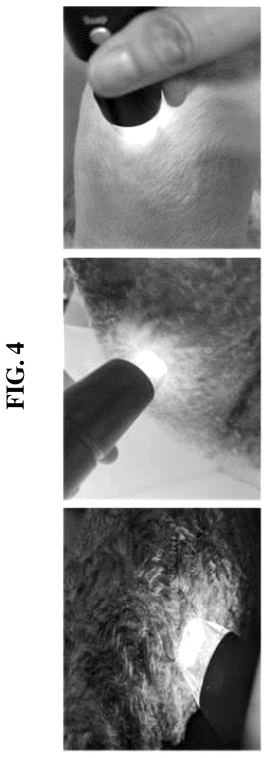 Patent US12097281 Figure 3 – Composition for improving skin moisturization of companion animals