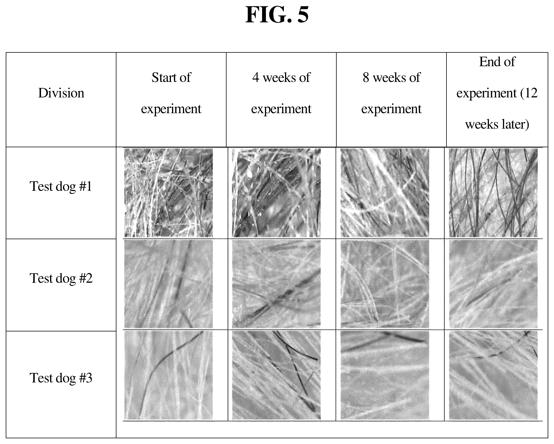 Patent US12097281 Figure 4 – Composition for improving skin moisturization of companion animals