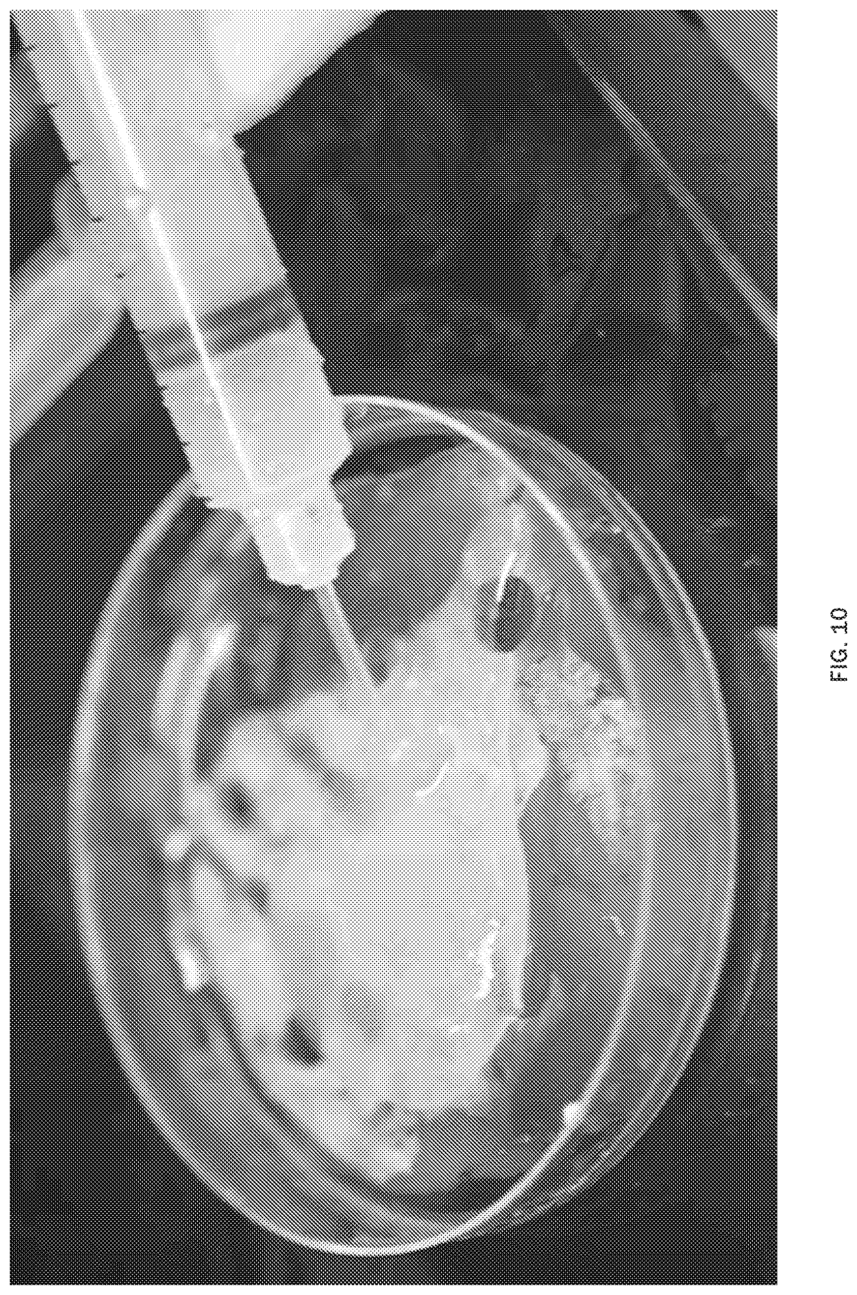 Patent US12097282 Figure 7 – Injectable slurries and methods of manufacturing the same