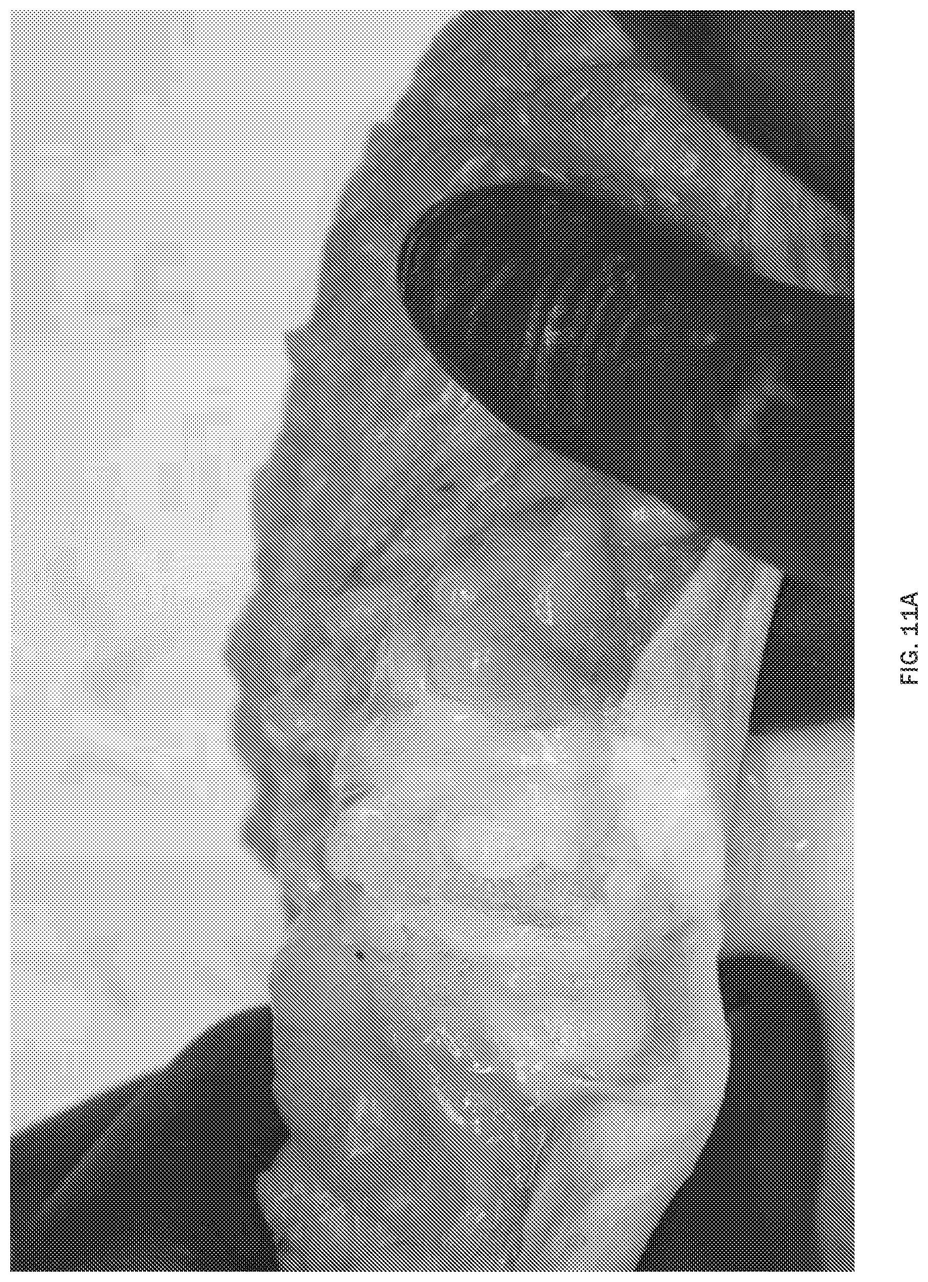 Patent US12097282 Figure 8 – Injectable slurries and methods of manufacturing the same
