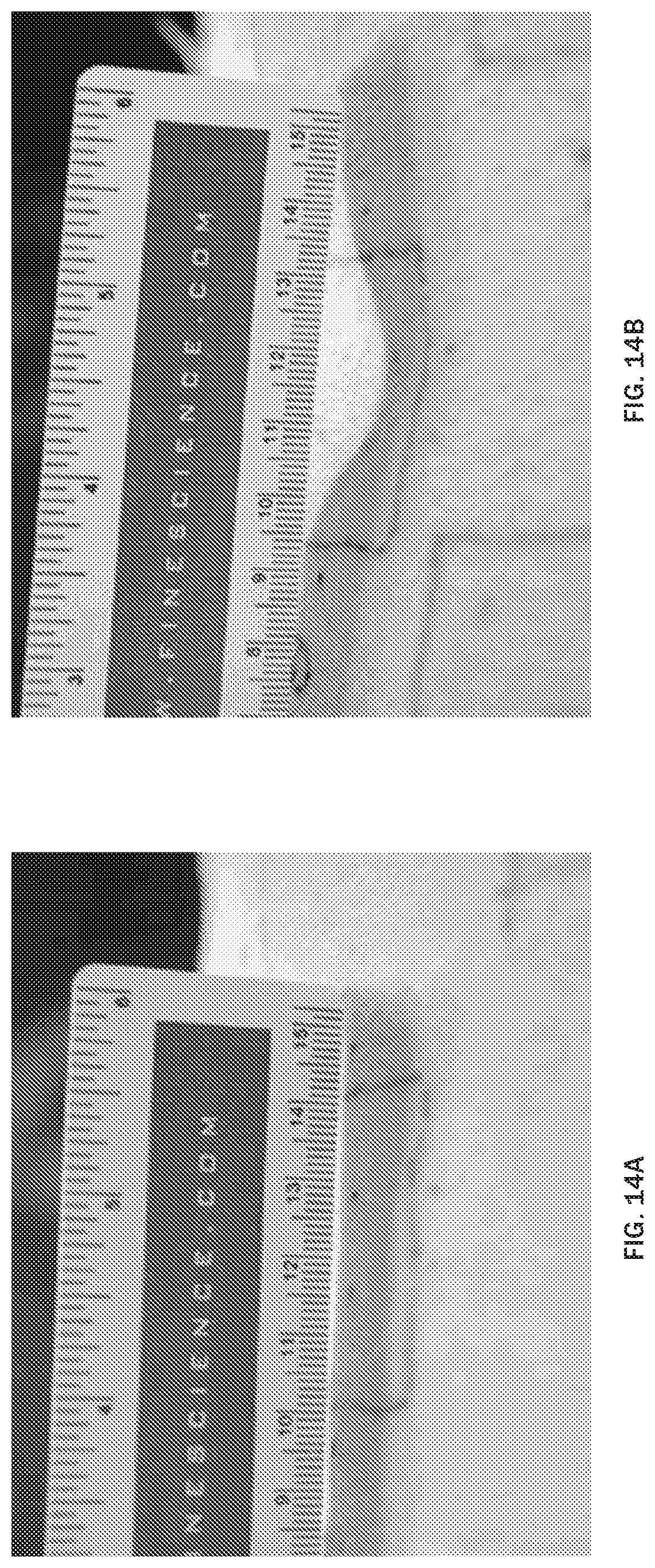 Patent US12097282 Figure 12 – Injectable slurries and methods of manufacturing the same