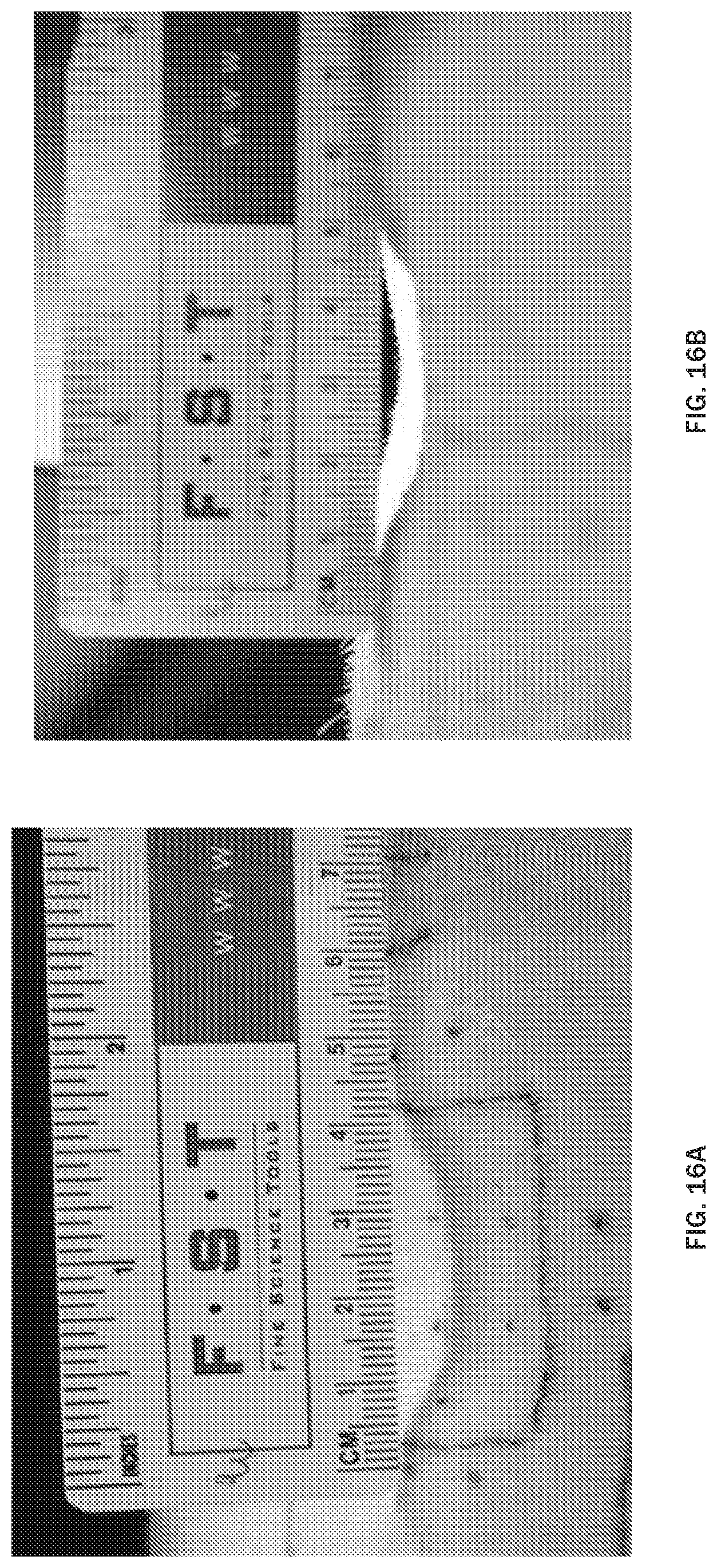 Patent US12097282 Figure 14 – Injectable slurries and methods of manufacturing the same
