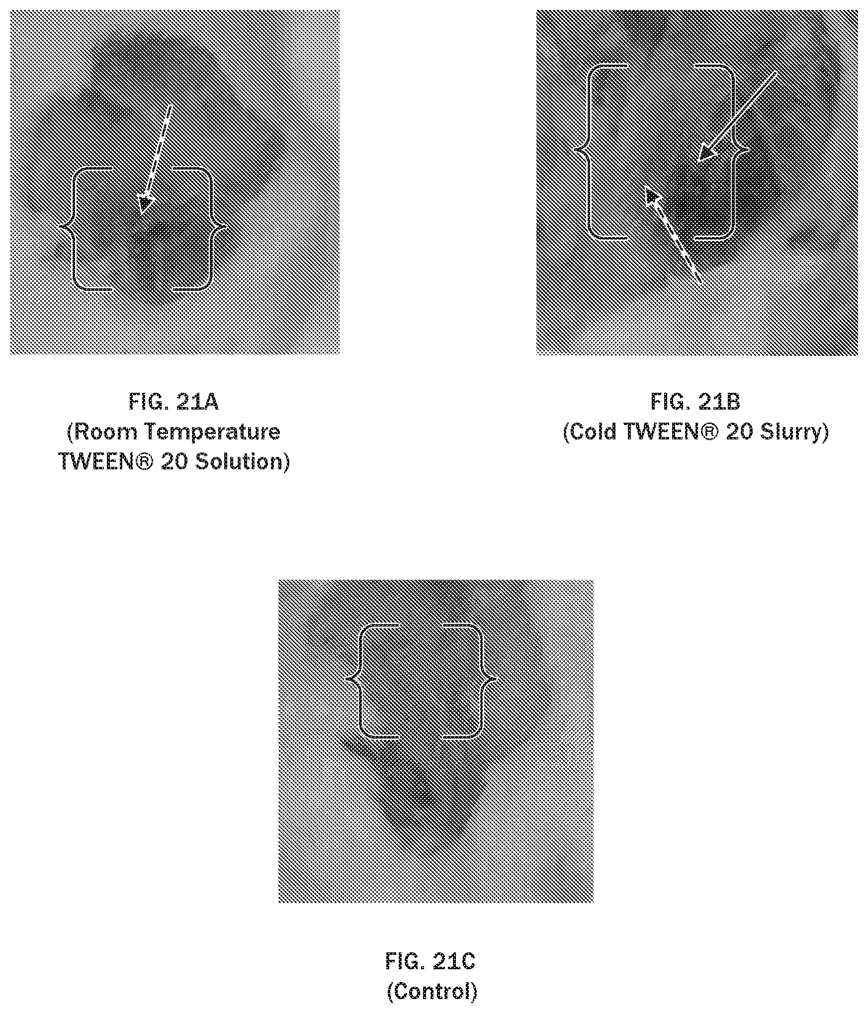 Patent US12097282 Figure 19 – Injectable slurries and methods of manufacturing the same