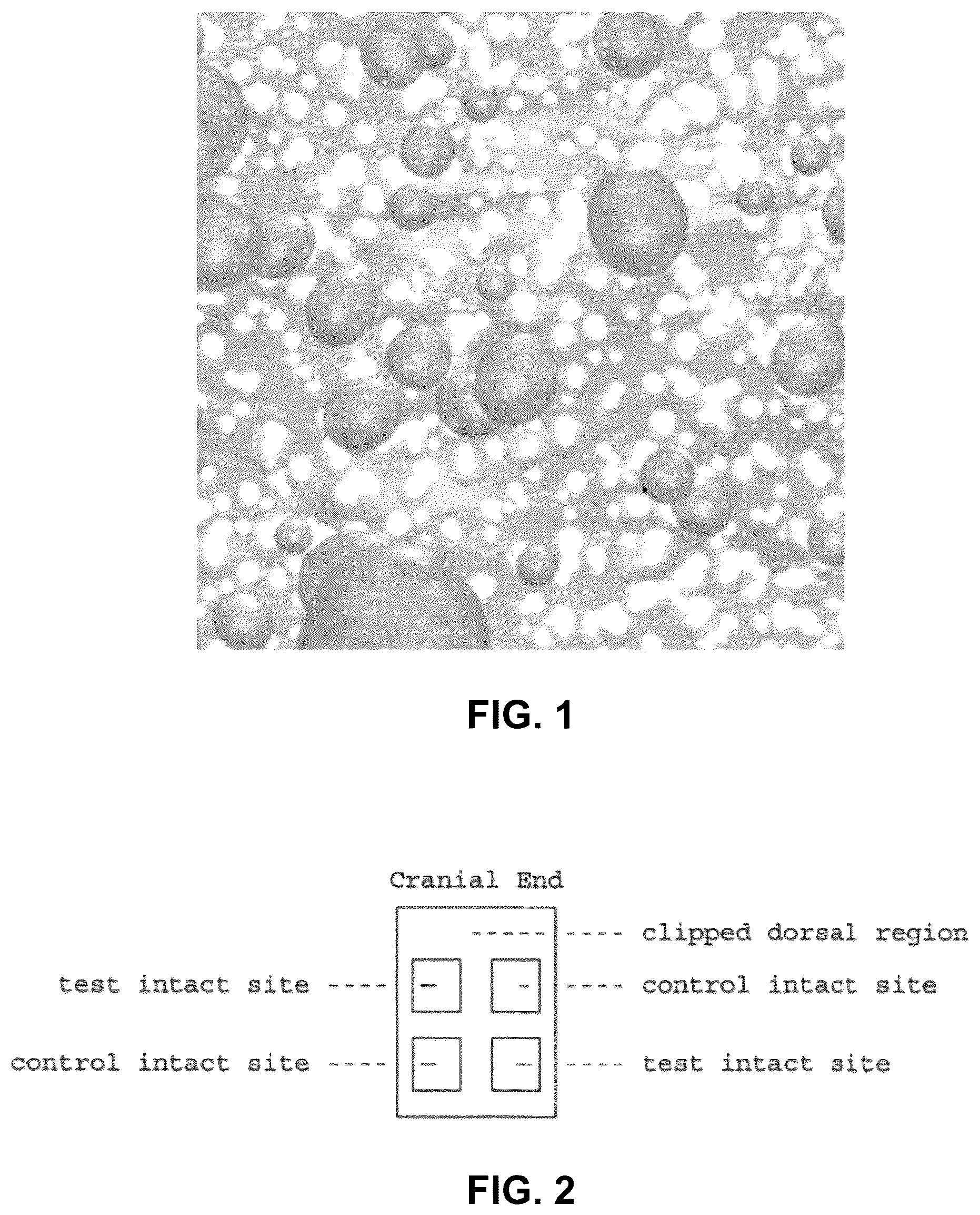 Patent US12097289 Figure 1 – Petrolatum-based compositions comprising cationic biocides