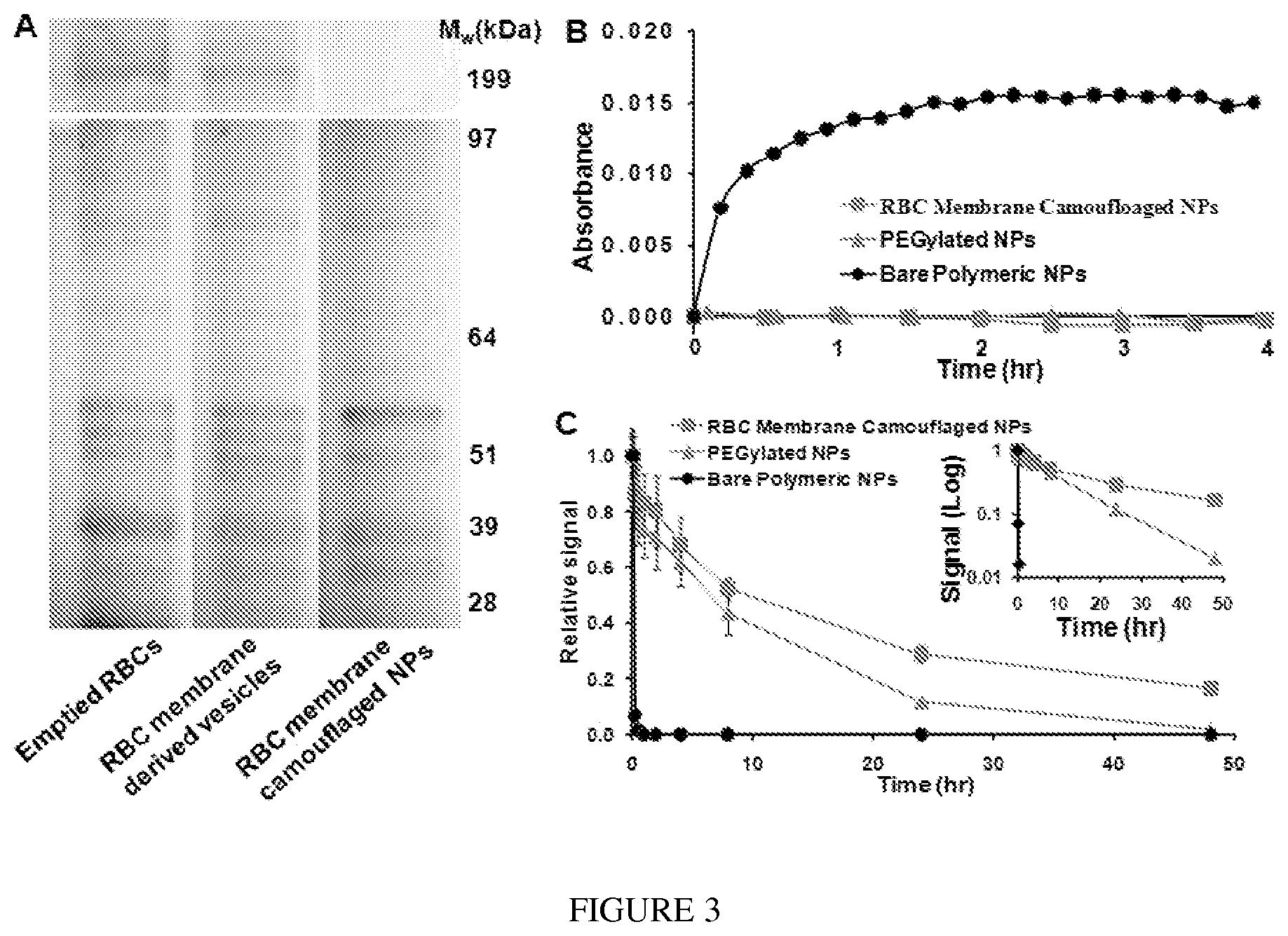 Patent US12097290 Figure 3 – Membrane encapsulated nanoparticles and method of use