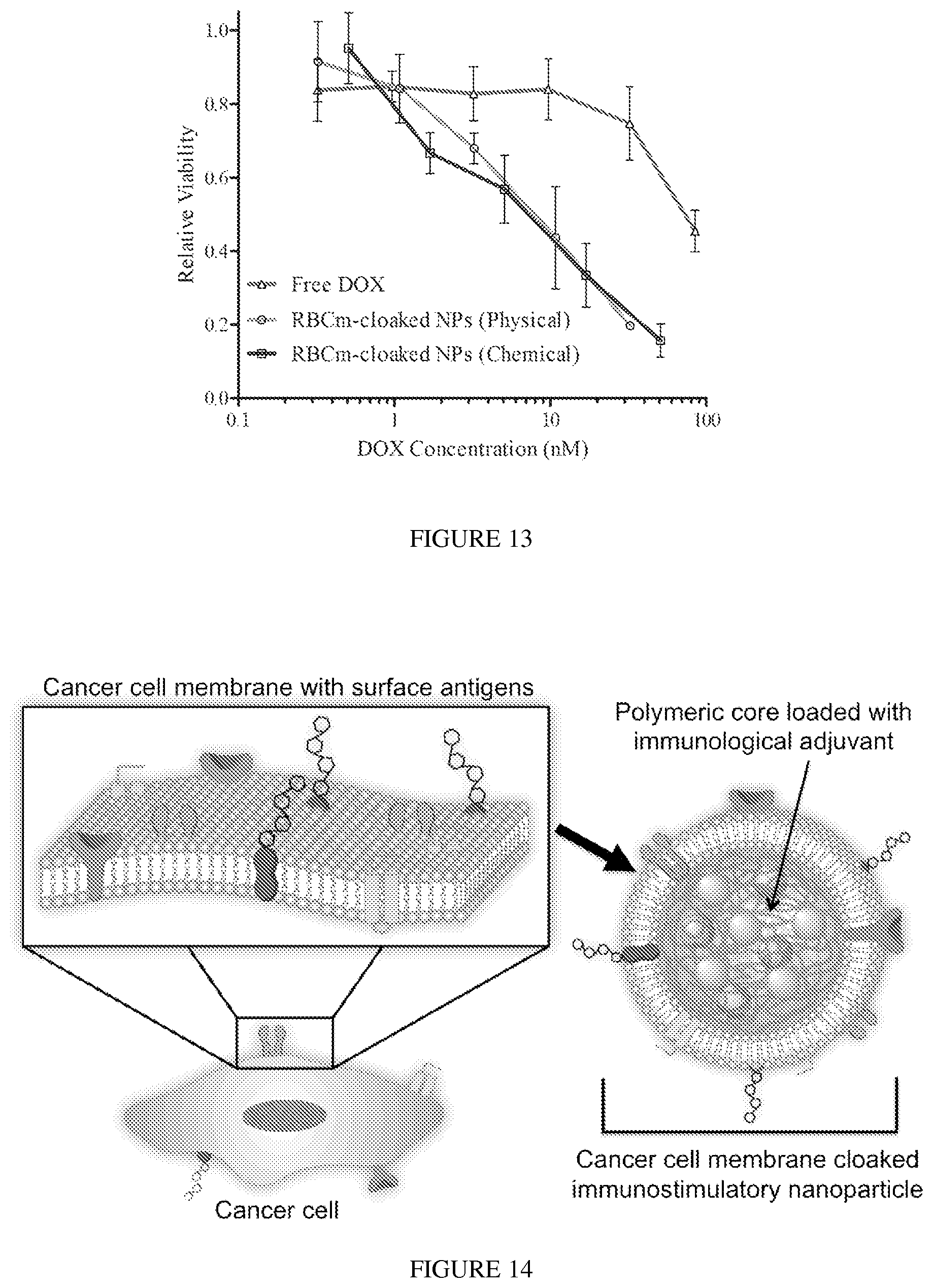 Patent US12097290 Figure 11 – Membrane encapsulated nanoparticles and method of use