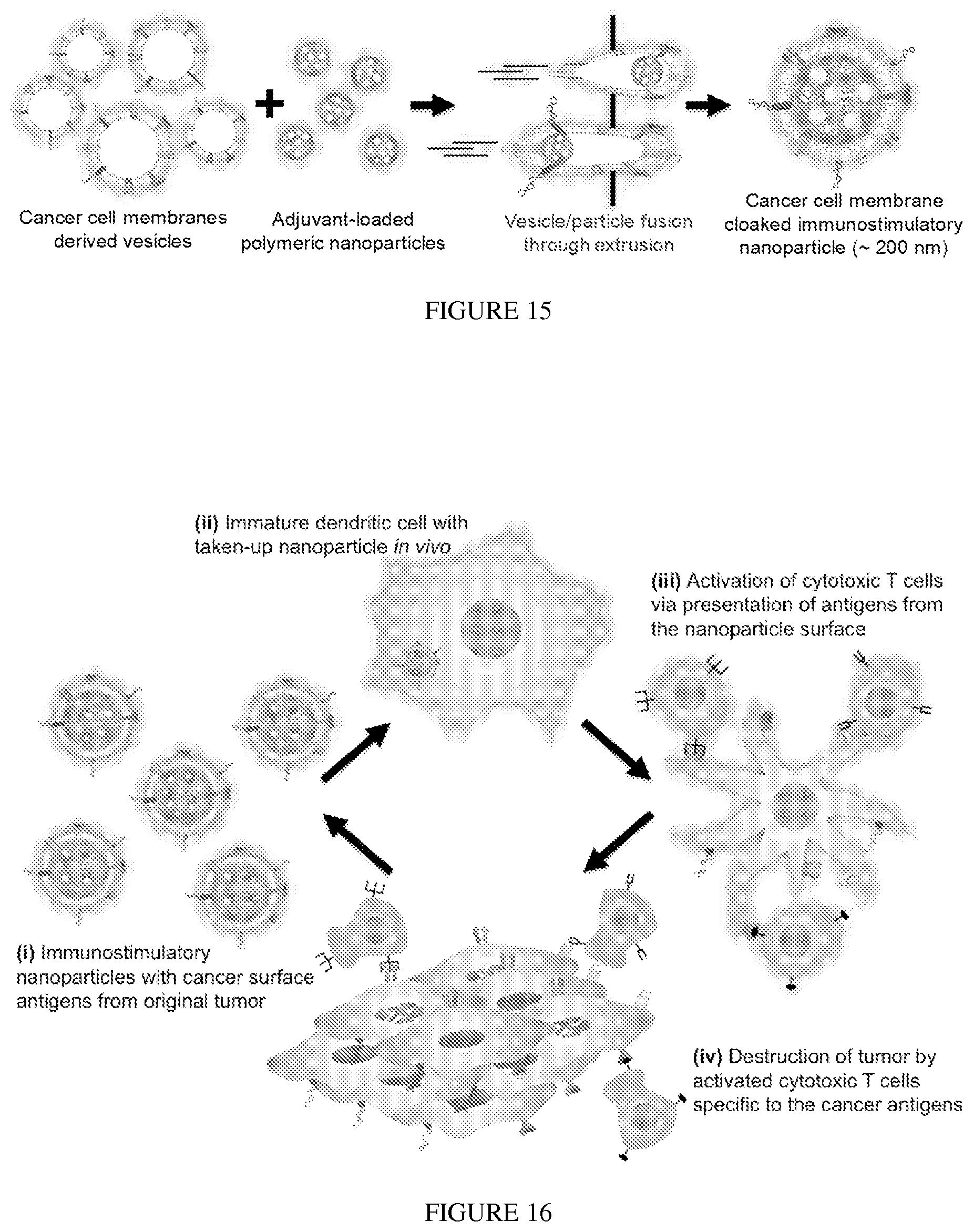 Patent US12097290 Figure 12 – Membrane encapsulated nanoparticles and method of use