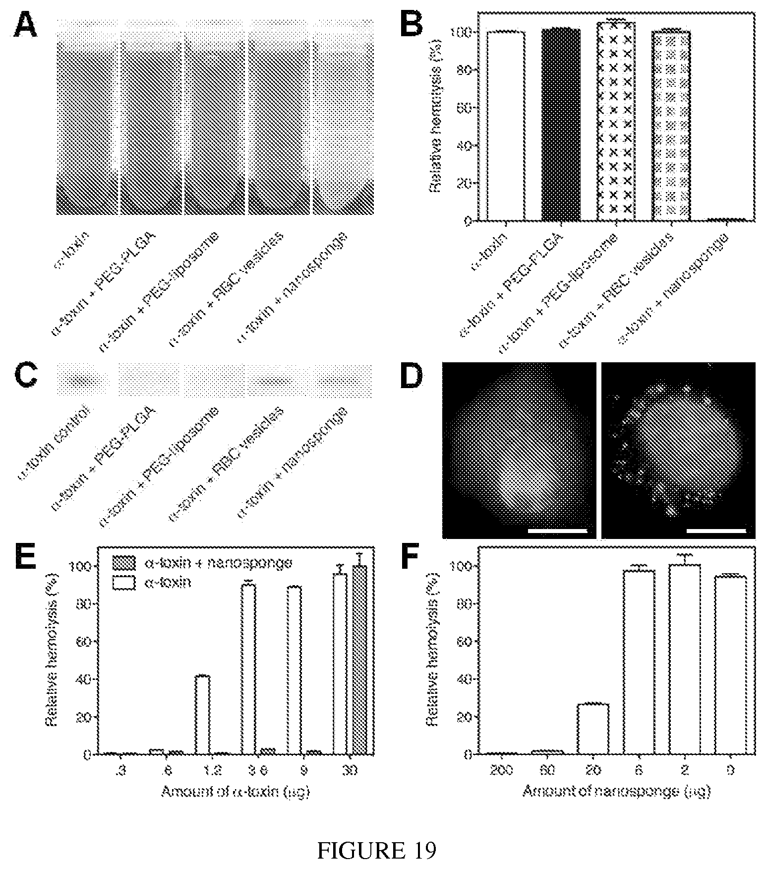 Patent US12097290 Figure 15 – Membrane encapsulated nanoparticles and method of use