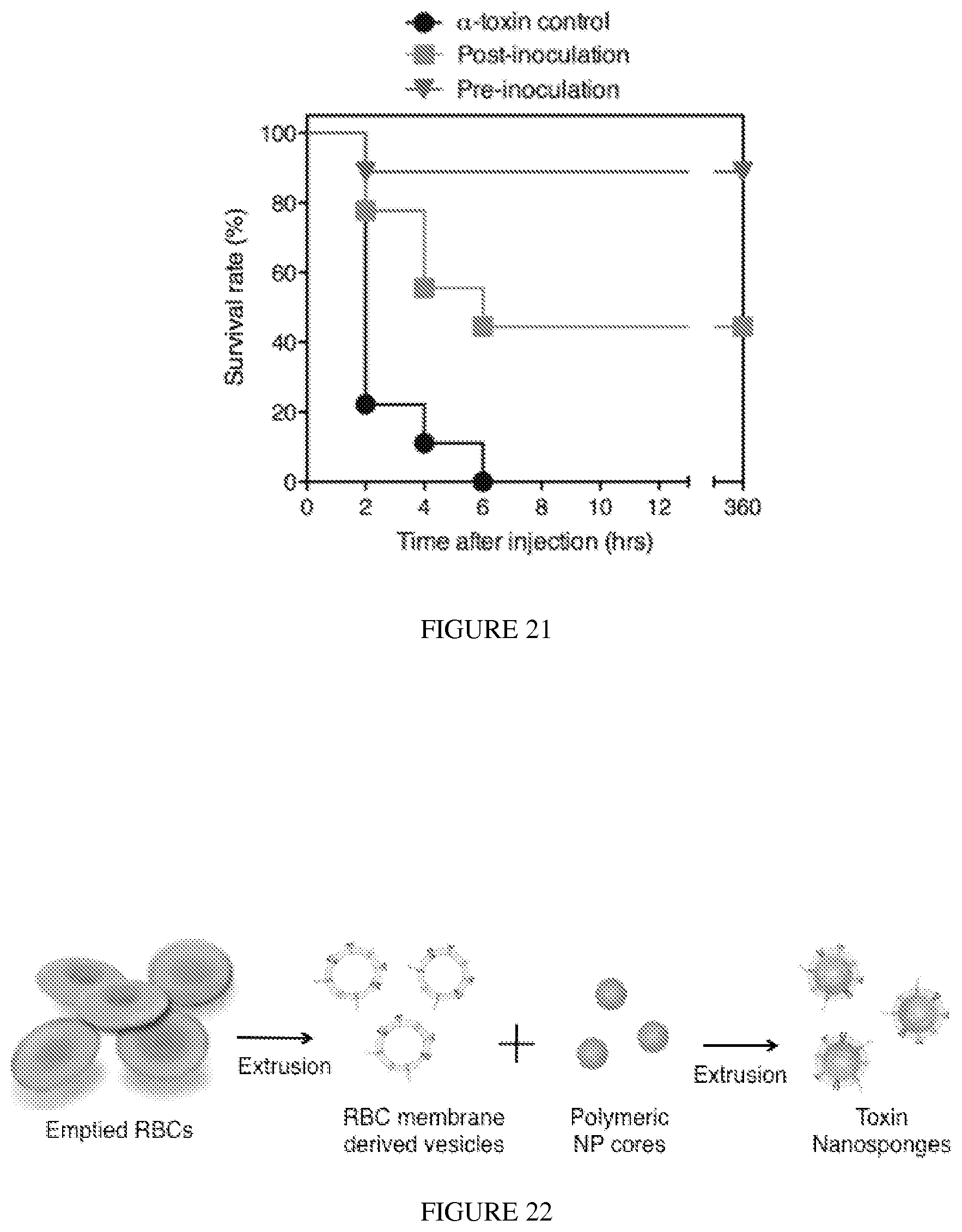 Patent US12097290 Figure 17 – Membrane encapsulated nanoparticles and method of use