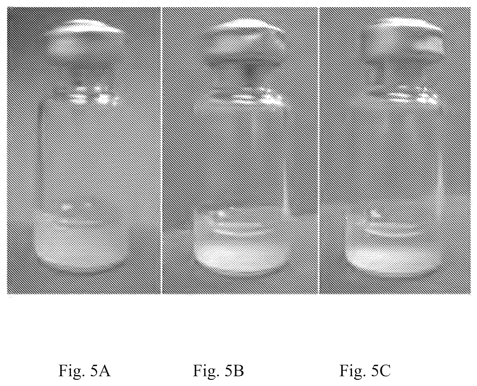 Patent US12097291 Figure 5 – Thermostable vaccine compositions and methods of preparing same